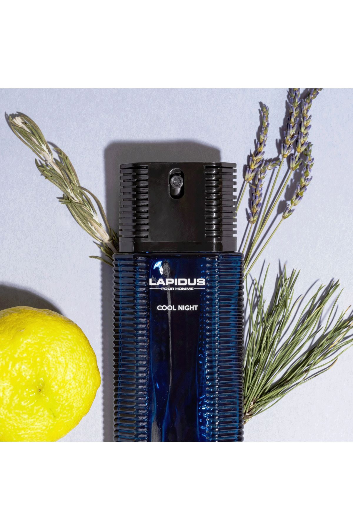 Ted Lapidus-عطر Cool Night Pour Homme من تيد لابيدوس EDP 100 مل 3