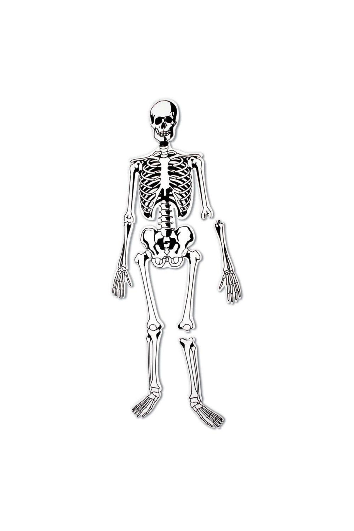 Learning Resources-Skeleton Foam Floor Puzzle-LER3332 5