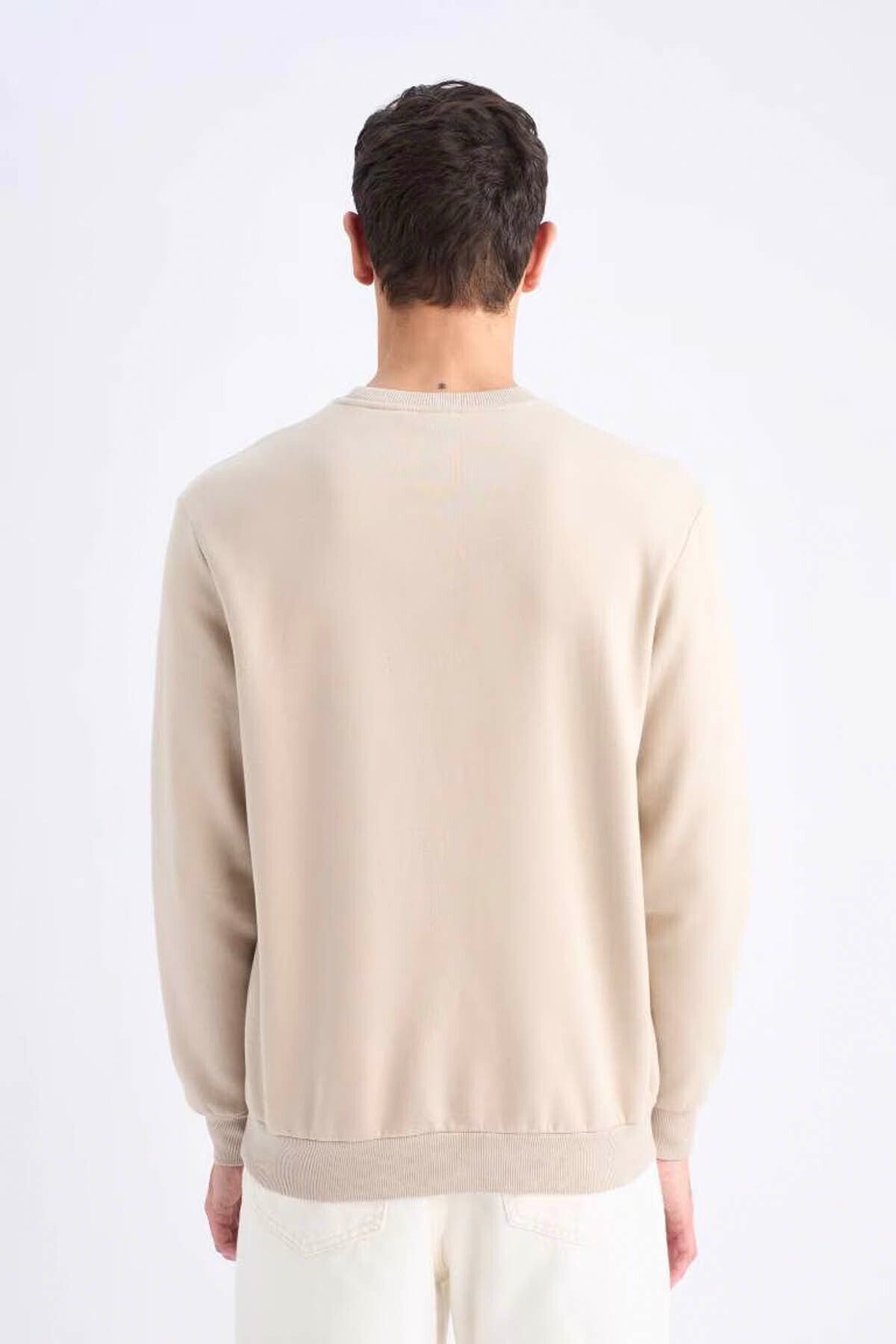 DeFacto-Regular Fit Crew Neck Basic Plain Thick Sweatshirt T3777Az25Sp 4