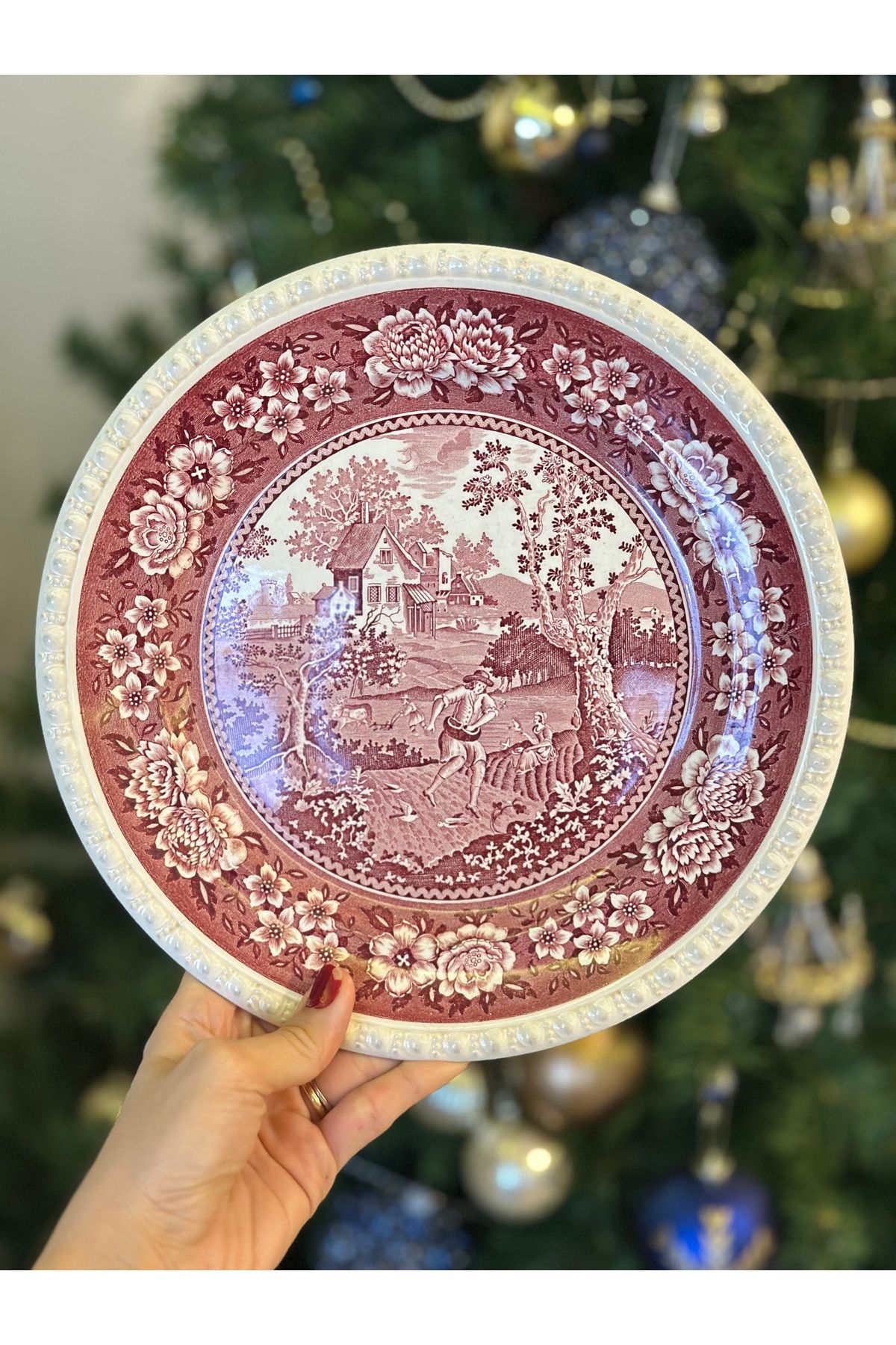 Villeroy & Boch-Villeroy Boch Antique - Red Rusticana Porcelain Serving Plate, Large Size 26 cm 8