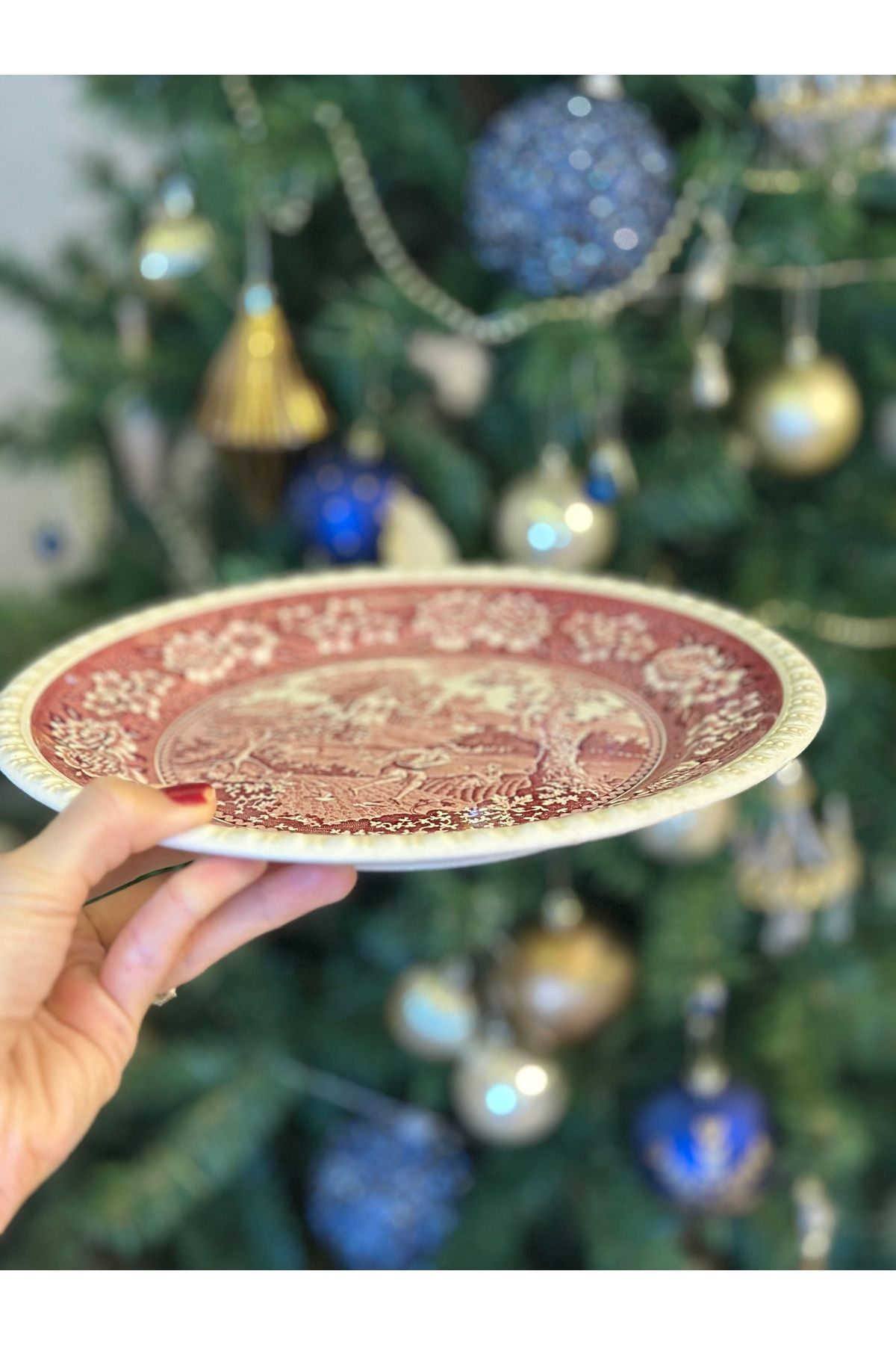 Villeroy & Boch-Villeroy Boch Antique - Red Rusticana Porcelain Serving Plate, Large Size 26 cm 7