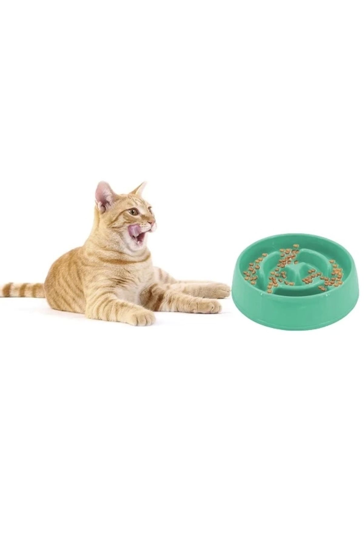 Yenimiyeni-775 ml Slow Food Cat Dog Food Container 2