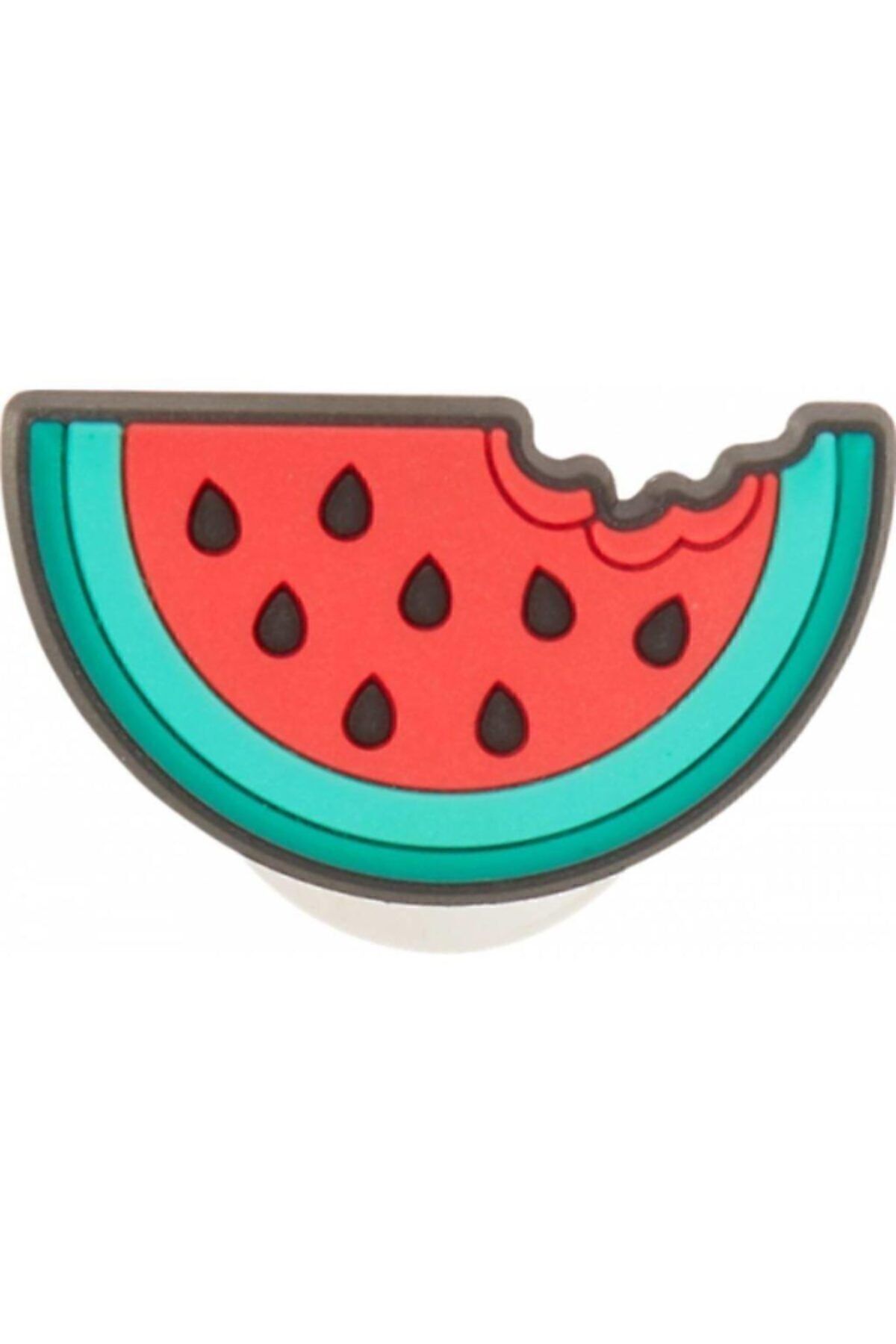 10007218 Watermelon Medicine Buckle