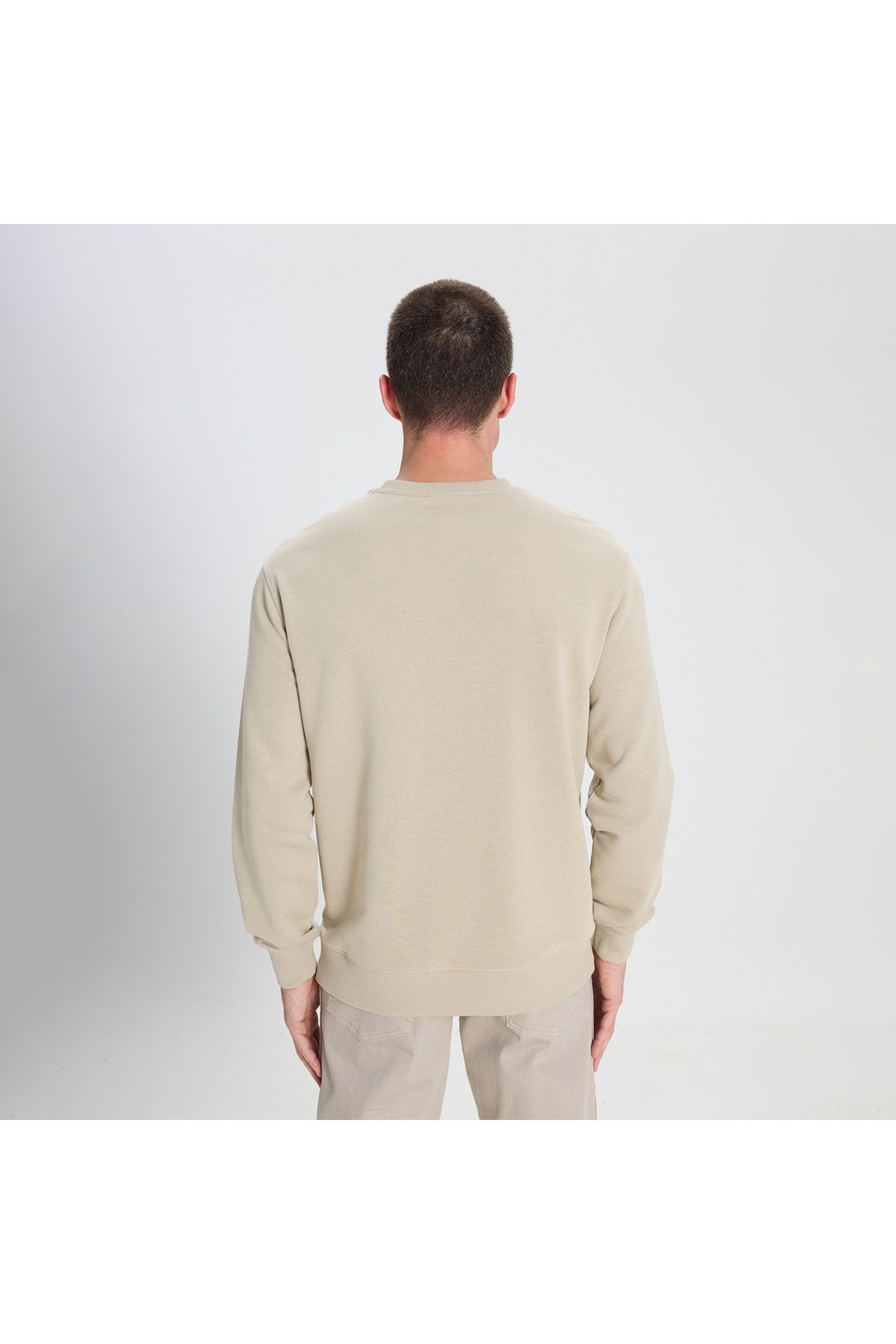 WRANGLER-Steinfarbenes Sweatshirt mit normaler Passform und Rundhalsausschnitt 4