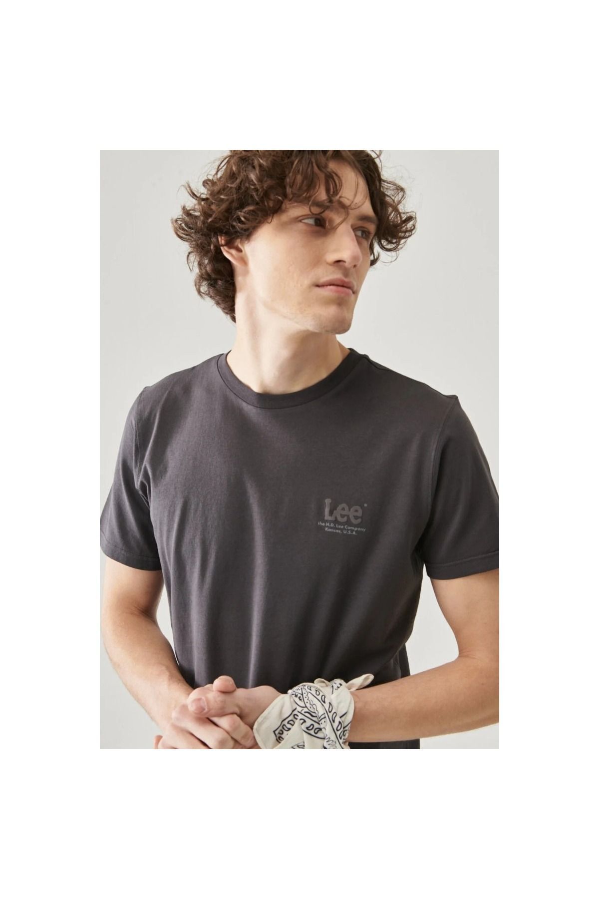 Lee-Lightweight Tonal Logo Men's Gray Crew Neck T-Shirt 3