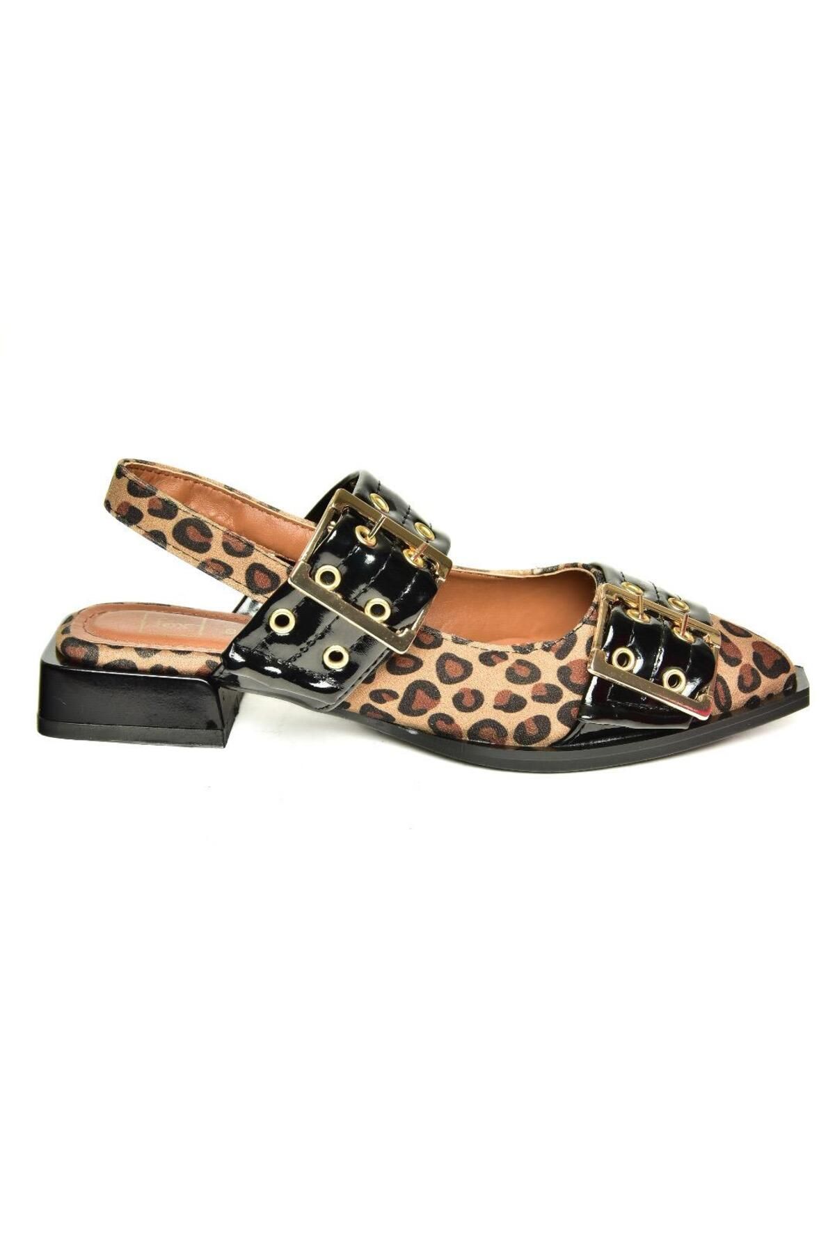 Fox Shoes-U 518600102   Leopard Low Heeled Women's Shoes 5