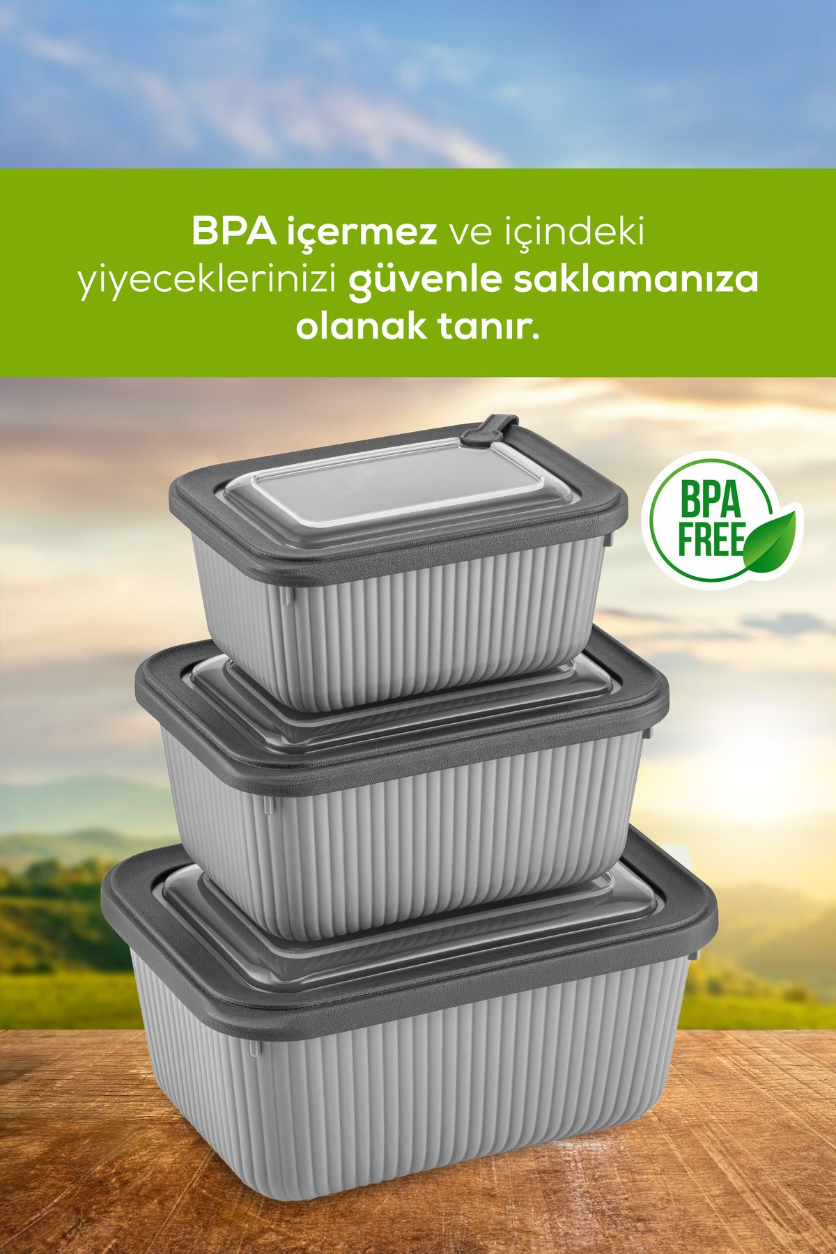 Vienev-Set of 12 Vip Rectangular Microwave and Diffracted Suitable Storage Containers Gray 4X(1750,1050,600 ml) 8