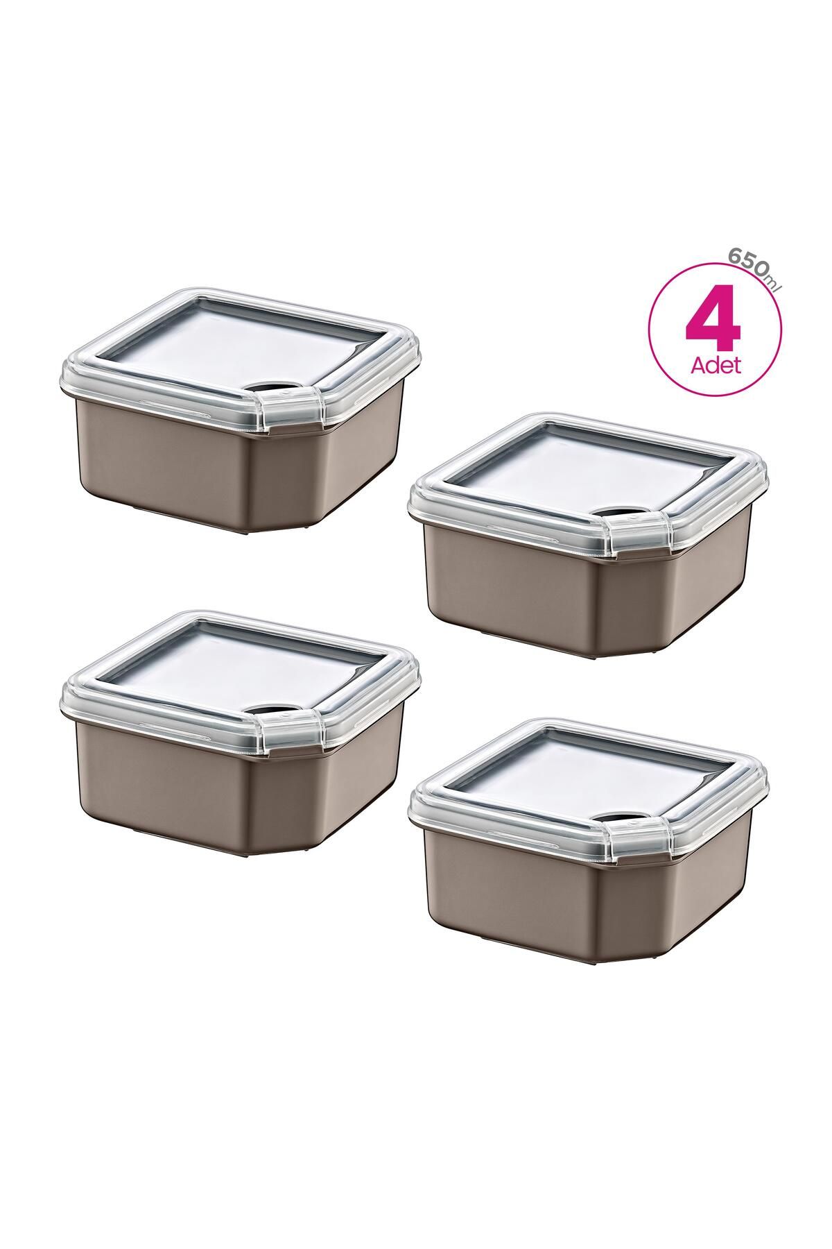 Smartware-4-Pack Q-Box Storage Container Terra 650 ml 4