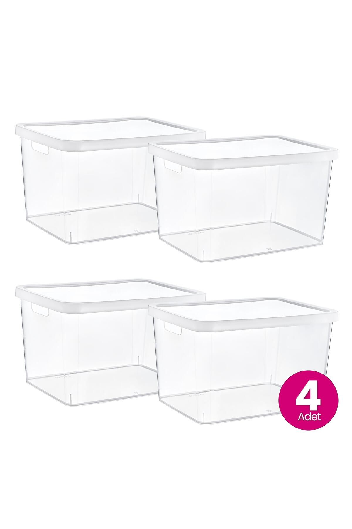 Smartware-Stafi Box with Transparent Lid - Set of 4, 18 Lt, Multi-Purpose 6
