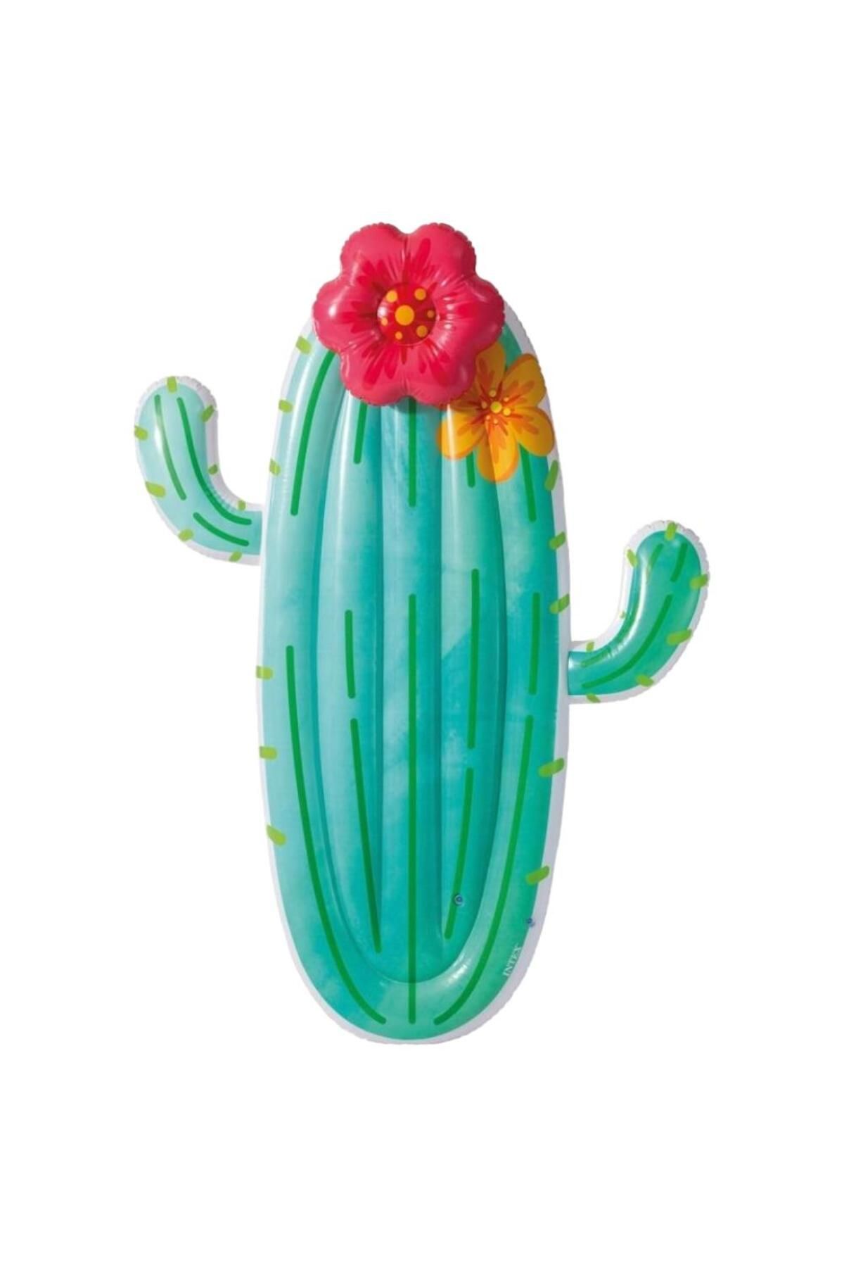 NEZADE STORE 58793 - KAKTÜS YATAK 185 CM 6 (Lisinya)
