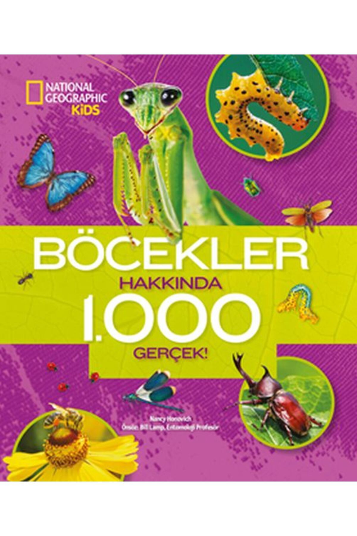 Destek Yayınları Böcekler Hakkında 1000 Gerçek!