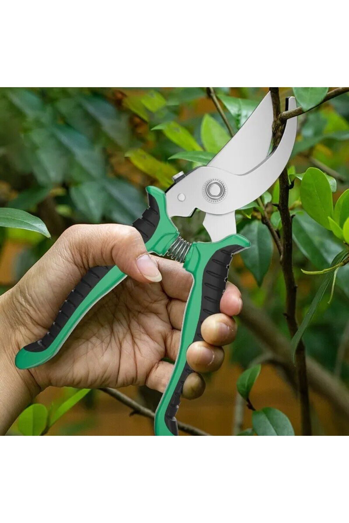 Choice-green Horticultural Scissors Bird Beak Shape Branch Pruning Labor Saving Pruning Stainless Steel Pic 6