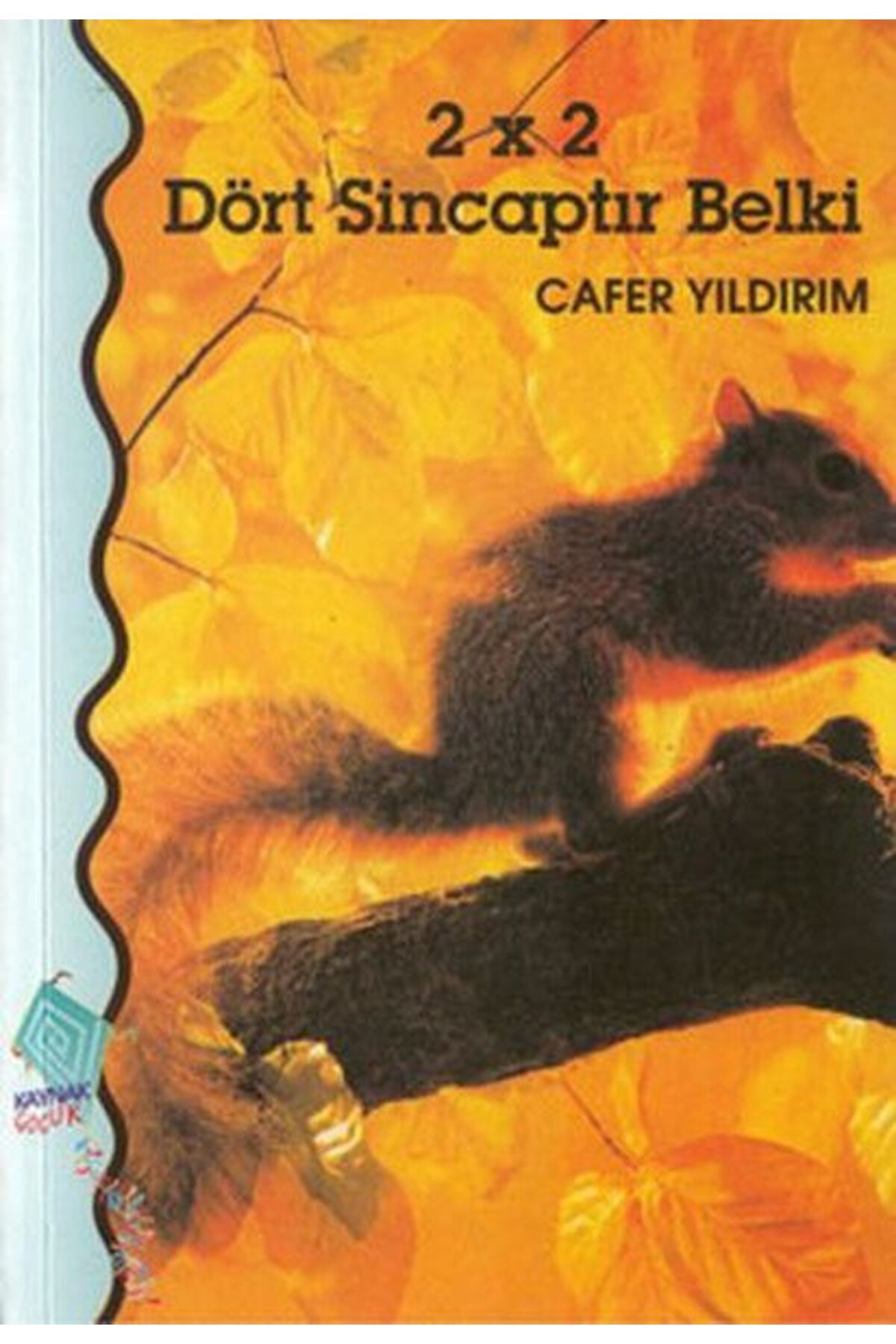 düşbaz kitaplar 2 x 2 Dört Sincaptır Belki