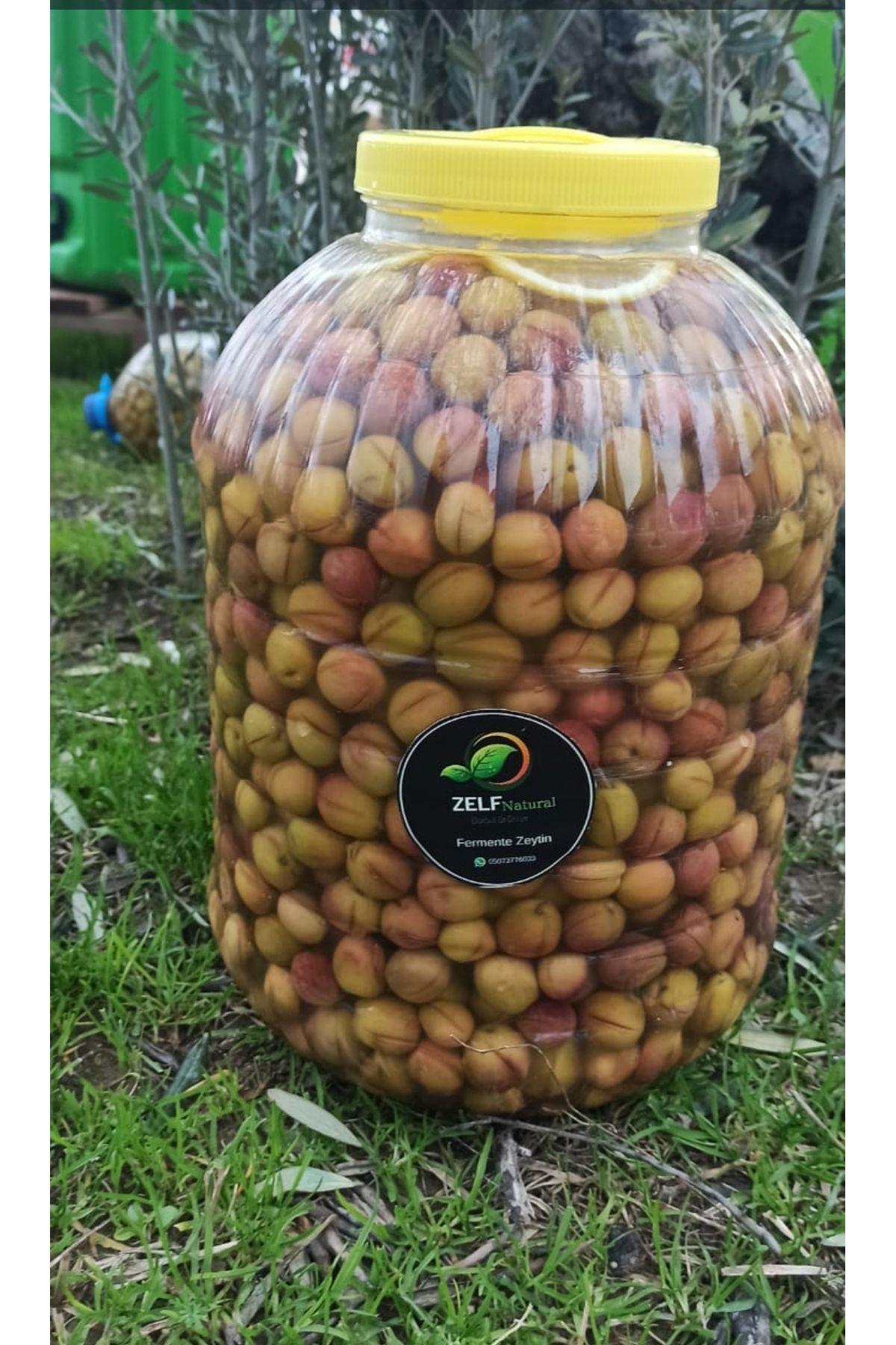 zelfnatural 3 kg Edremit Çizik Zeytin