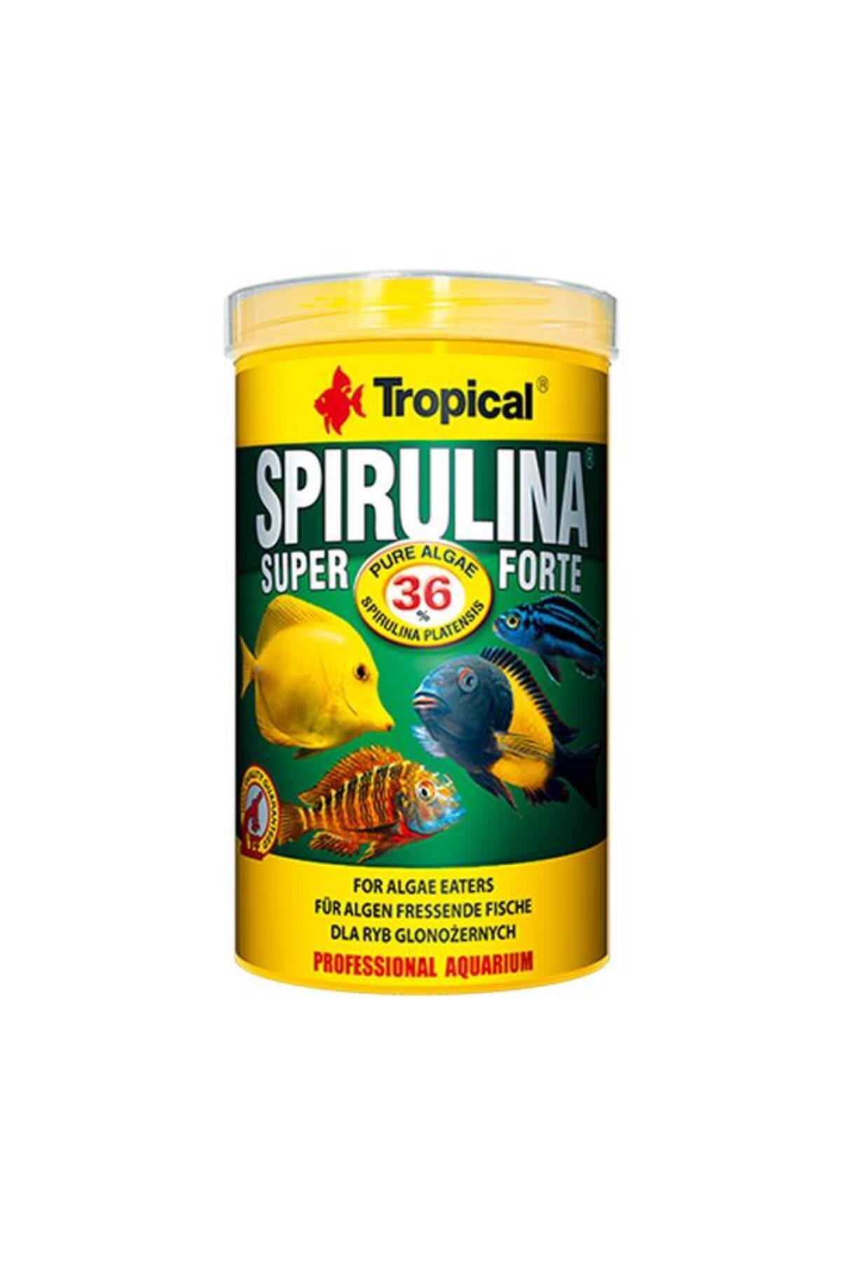 Tropical Super Spirulina Forte Flakes Balık Yemi 1000 ml