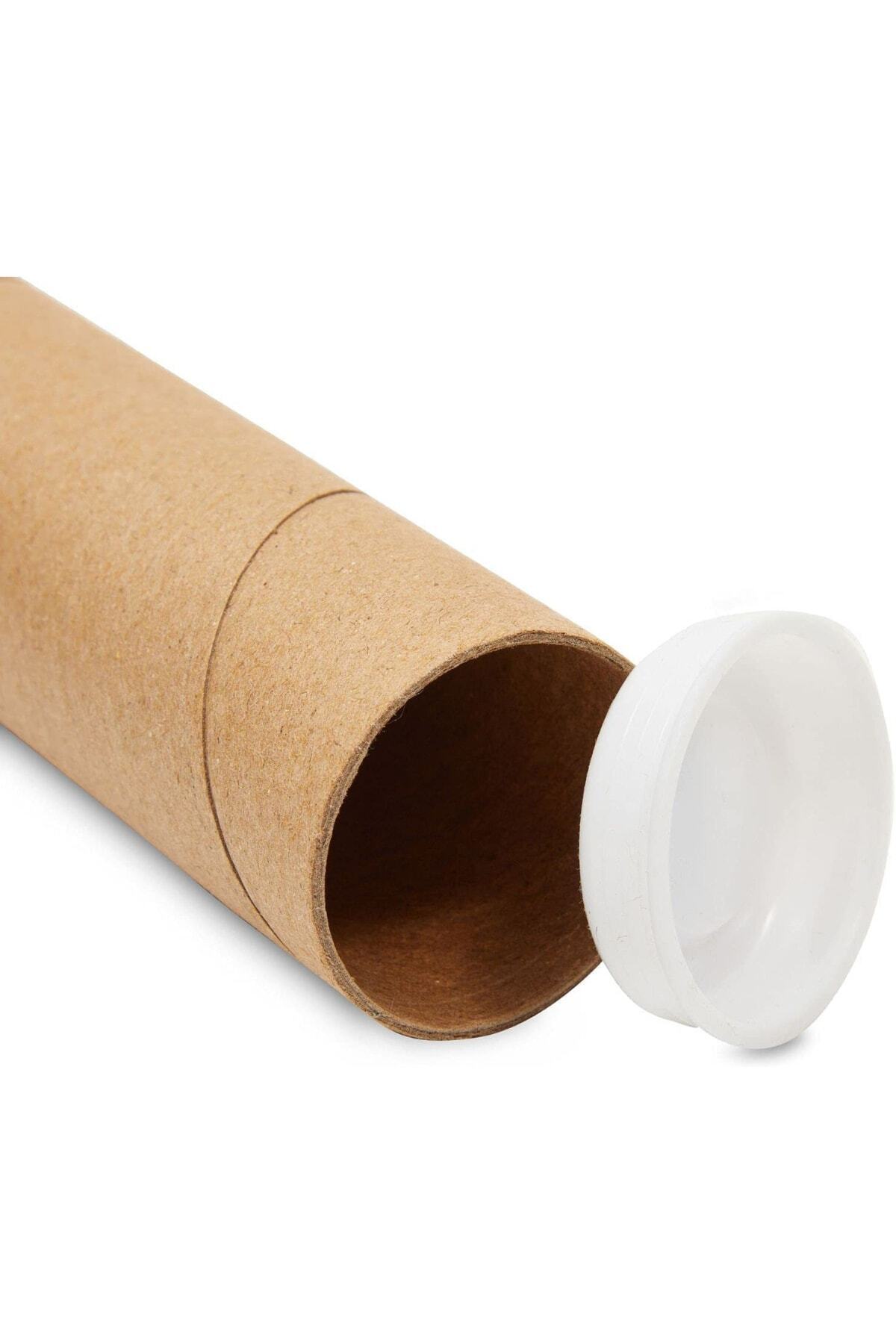 BEYLİNİ Postüp 5 Adet Kapaklı Silindir Kutu Karton Rulo Gönderi Poster ...