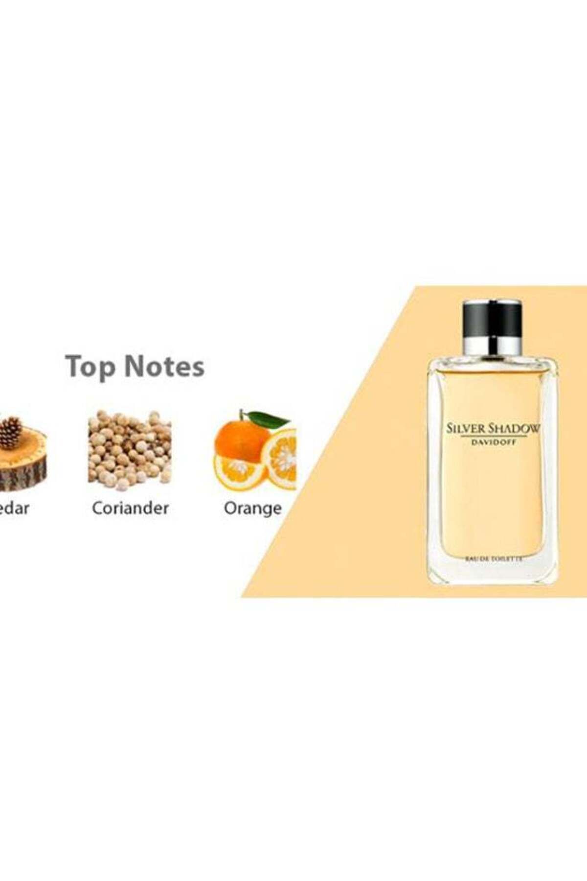 Davidoff-Silver Shadow Gift Set 100ml 6