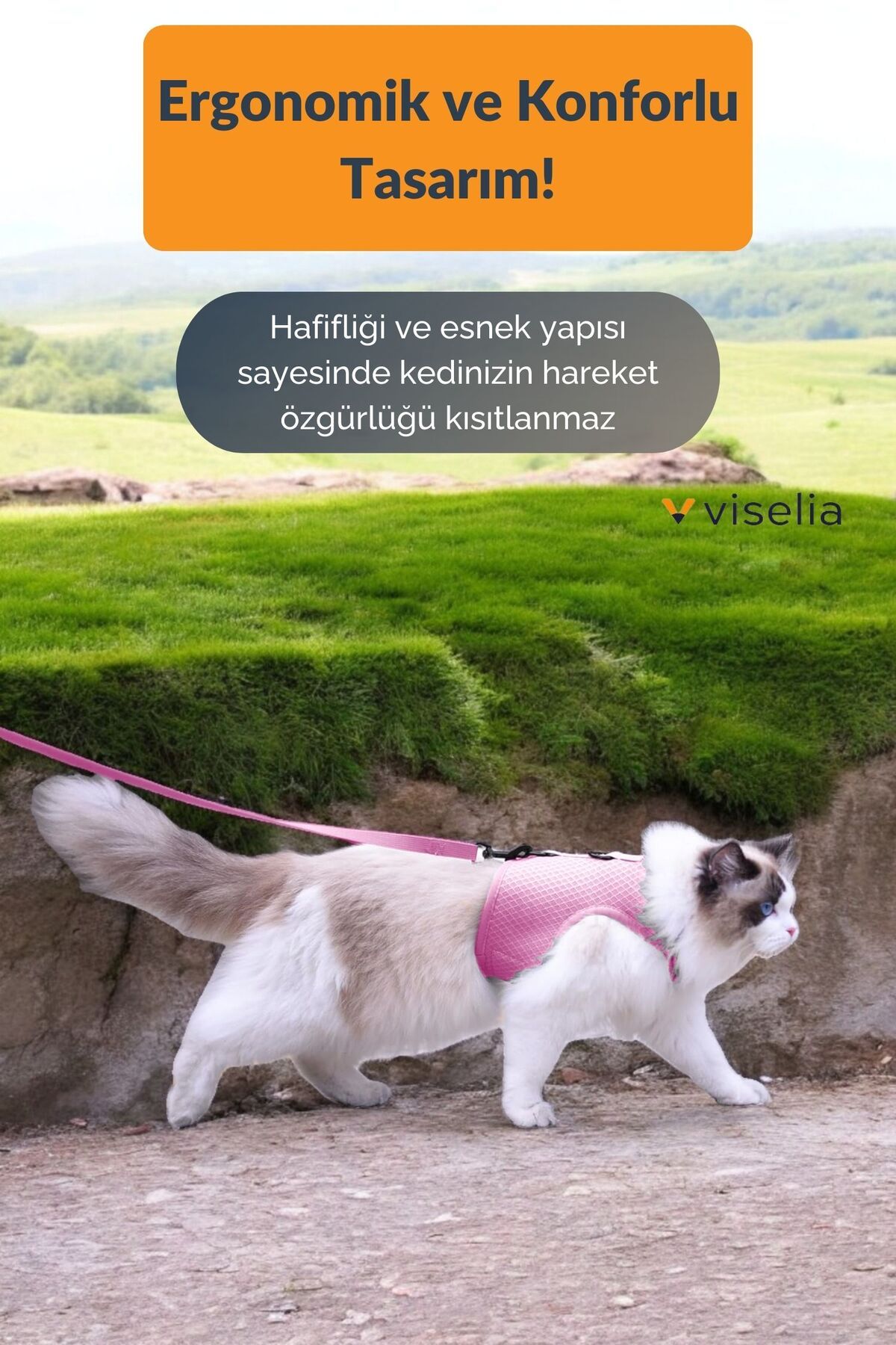 Viselia-Reflective Dog Collar - Chest and Neck Collar Set, with Dispatch Strap, Anti-Sweat Breathable 2