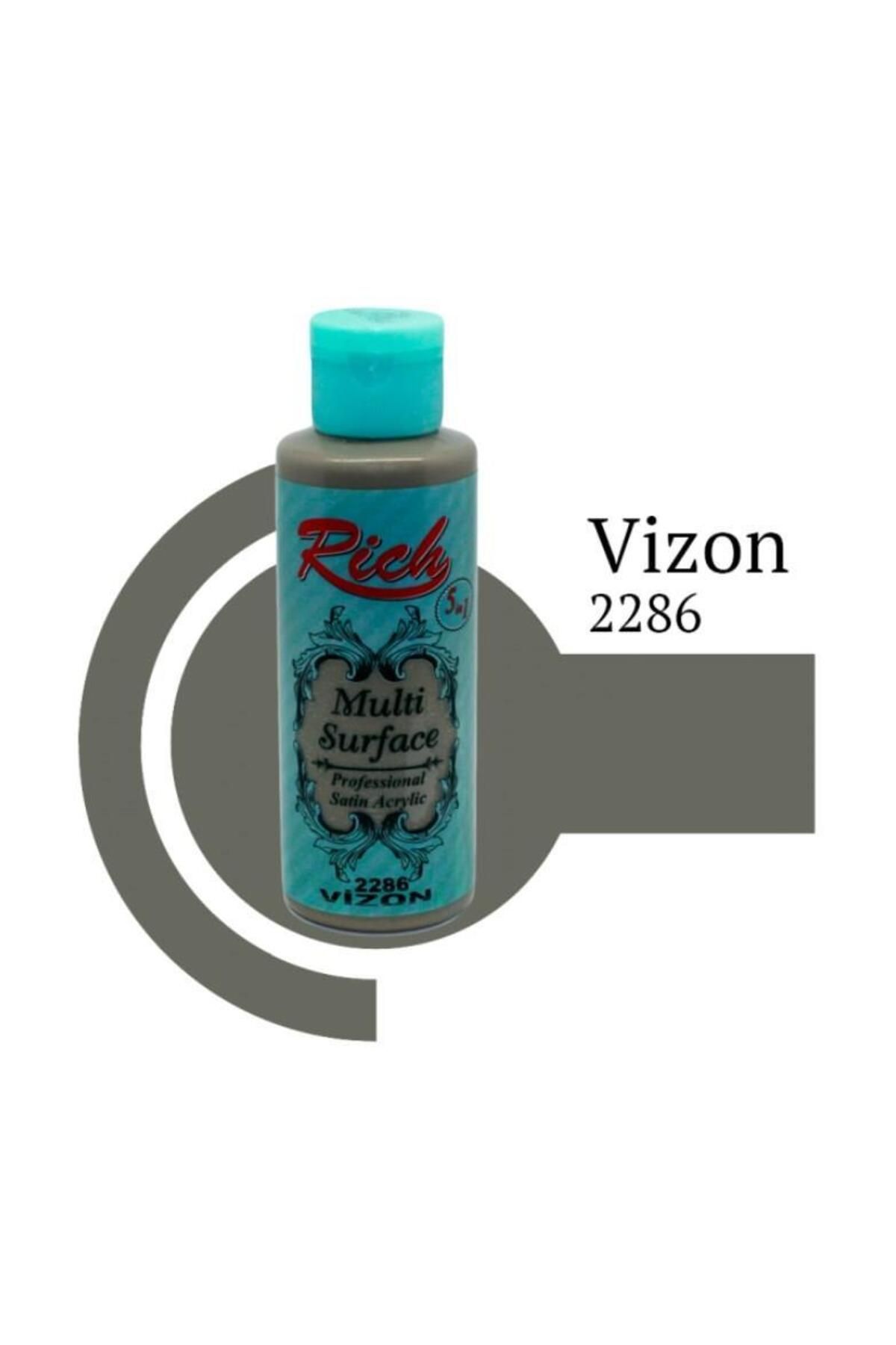 OEM Rich Multi Surface 2286 Vizon Akrilik Boya 120 cc