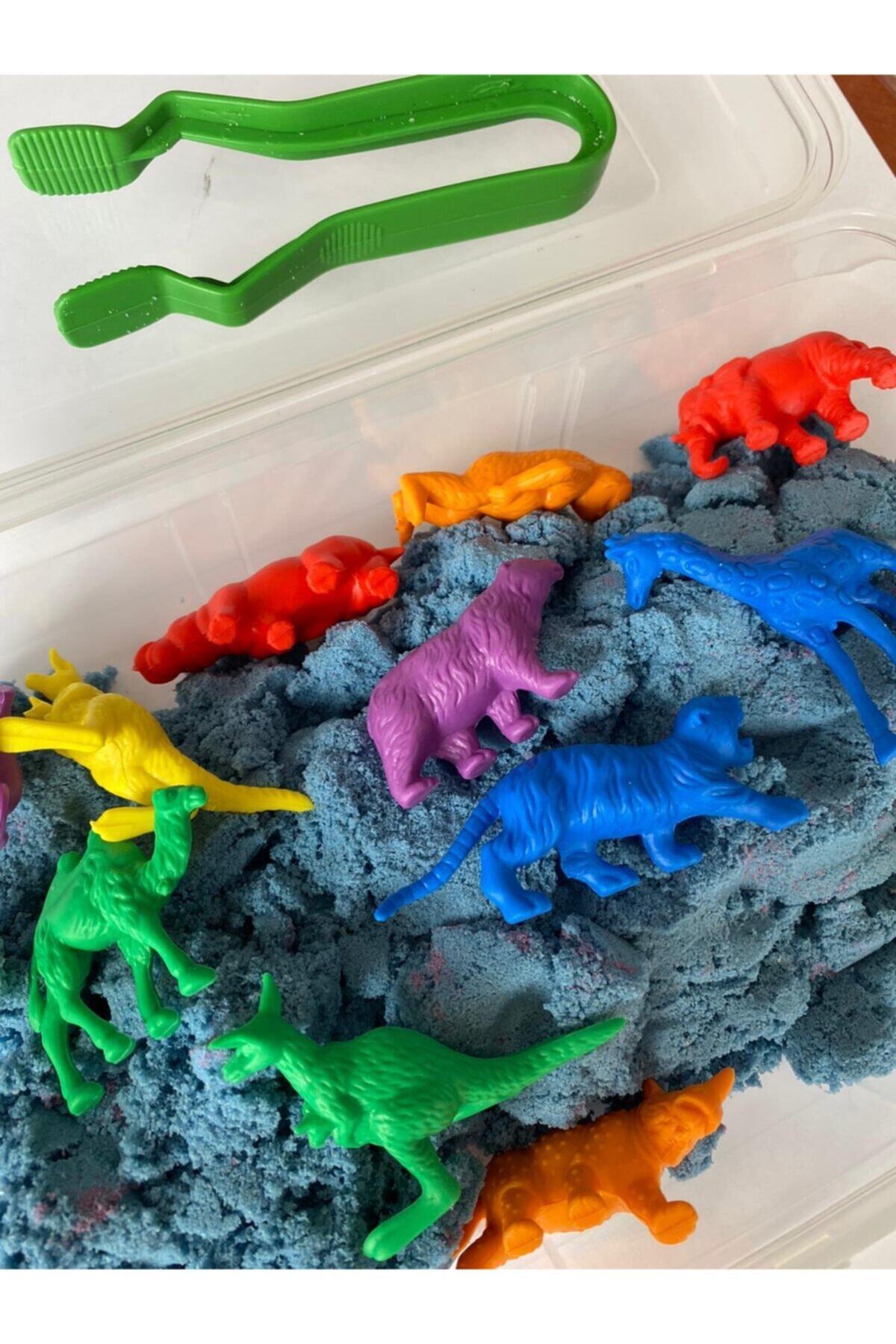 EDX Vahşi Hayvanlar Aktivite Kutusu Montessori Materyali fotoğrafı 5 (önizleme)