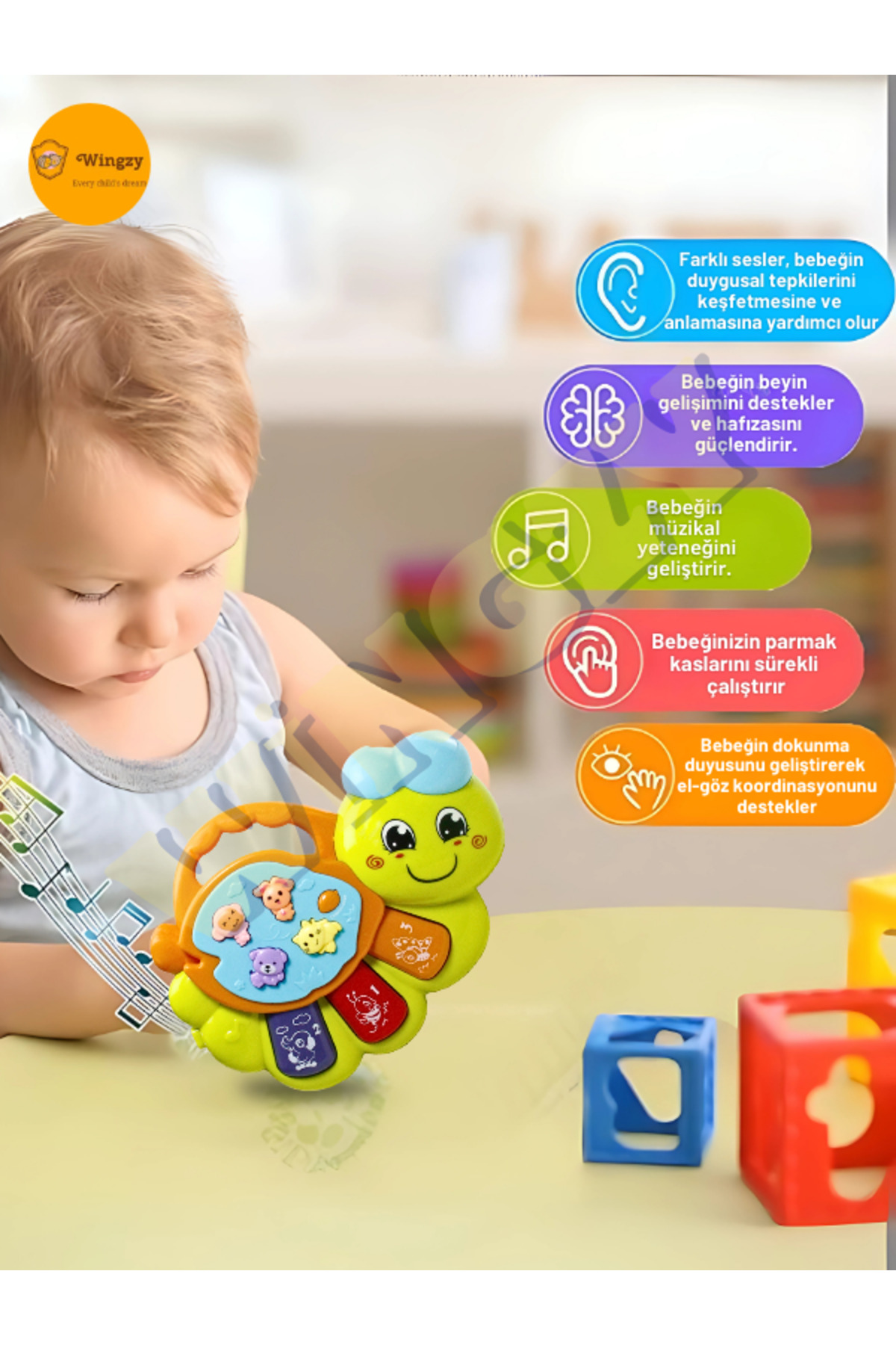 Wingzy Işıklı Ve Müzikli Bebek Piyanosu, Eğitici, Renkli, Sesli Oyuncak, Motor Ve Duyusal Gelişim fotoğrafı 3 (önizleme)