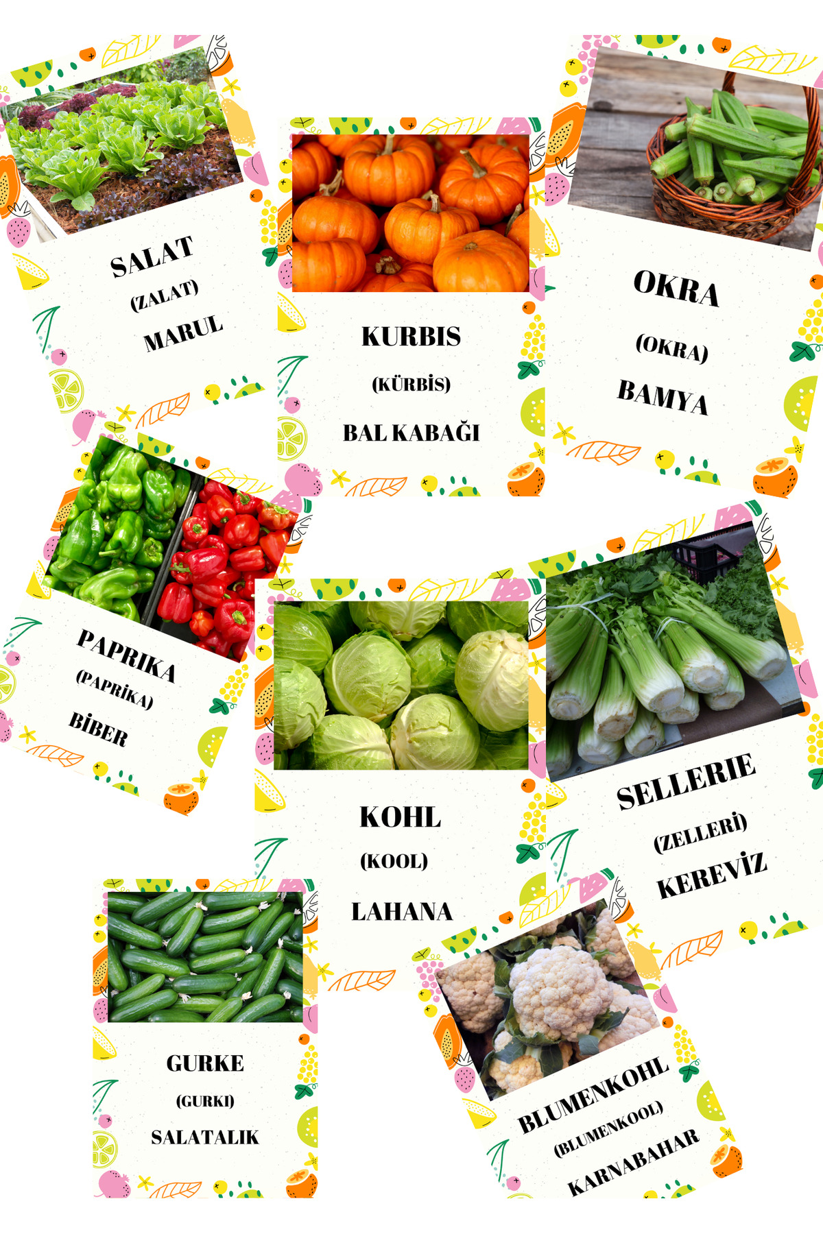 Baby ALMANCA SEBZELER FLASH KARTLAR fotoğrafı 3 (önizleme)