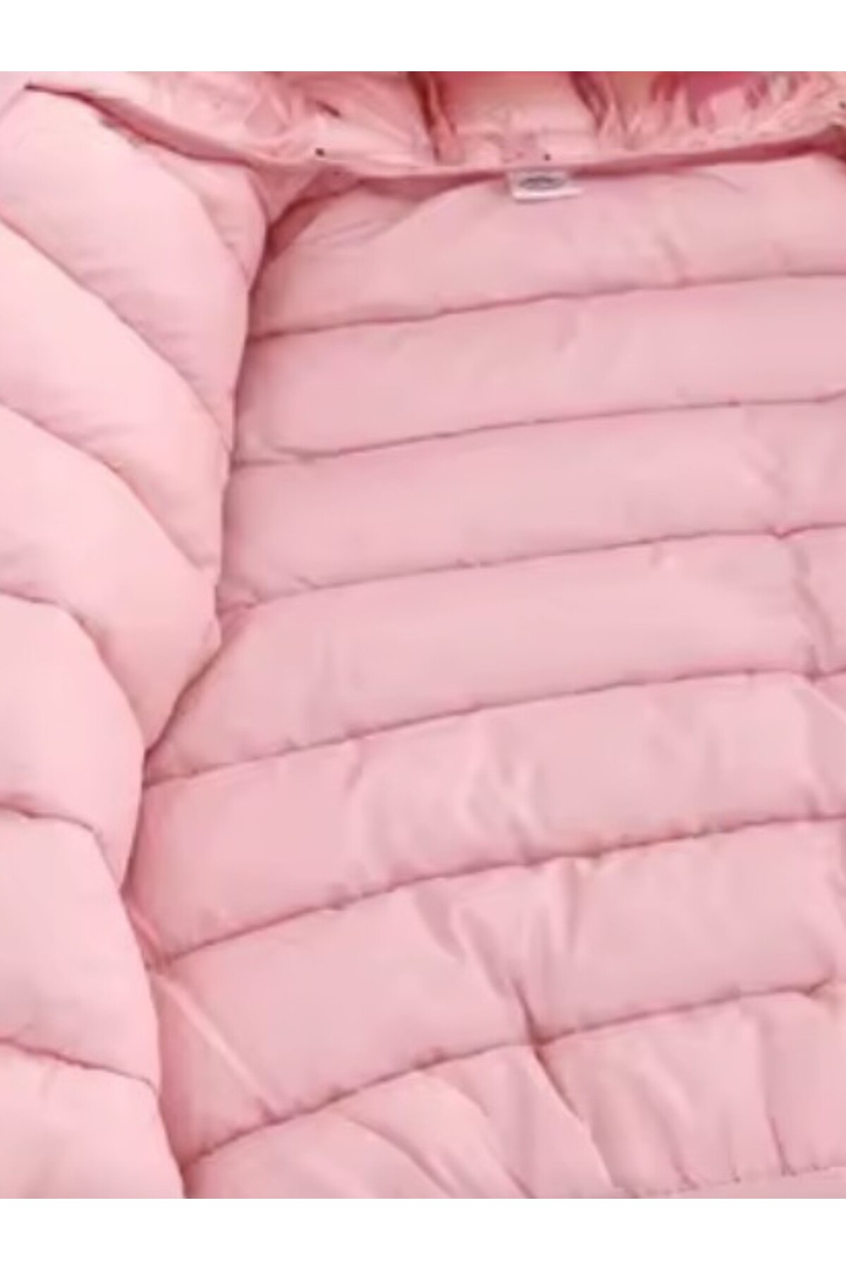 ARDSU Bebek Sevimli Dinazor Baskılı Şişme Pofuduk Mont fotoğrafı 5 (önizleme)