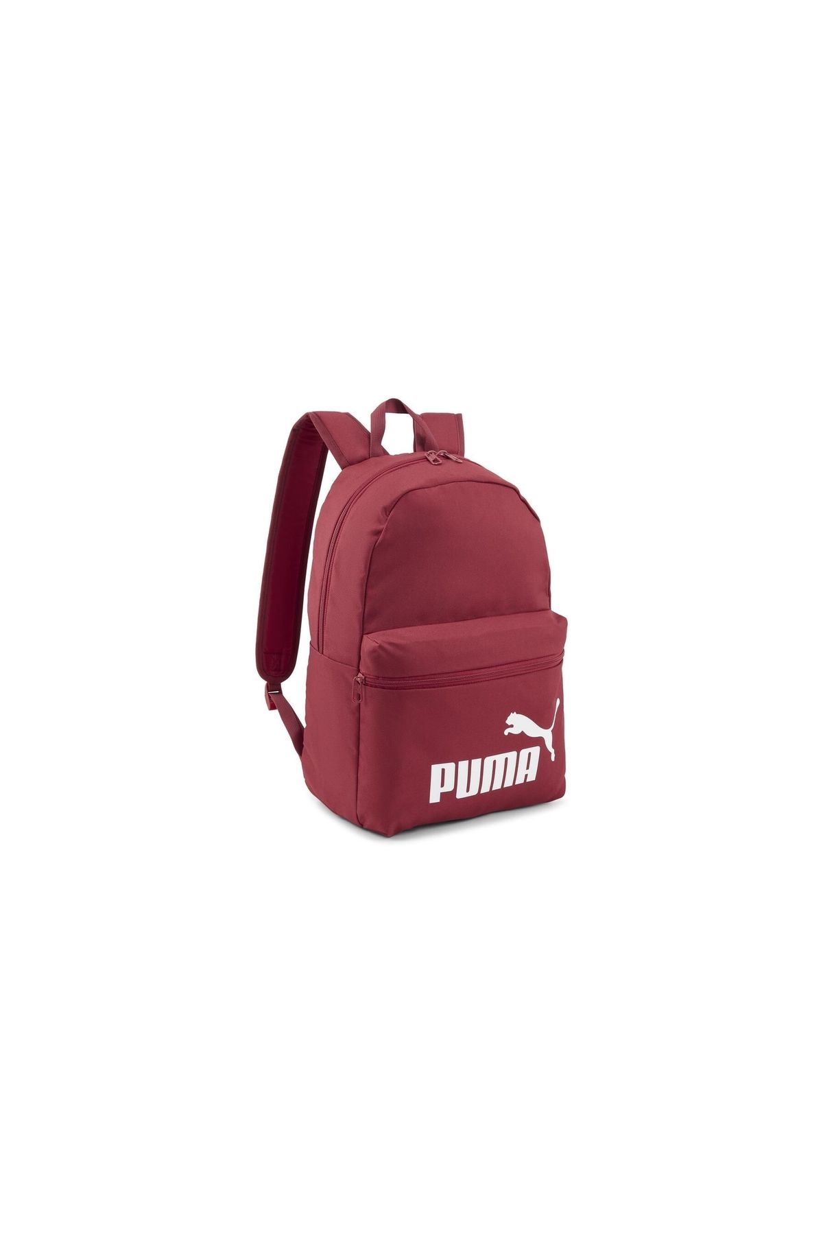 Puma-079943 -35 Model Backpack 1