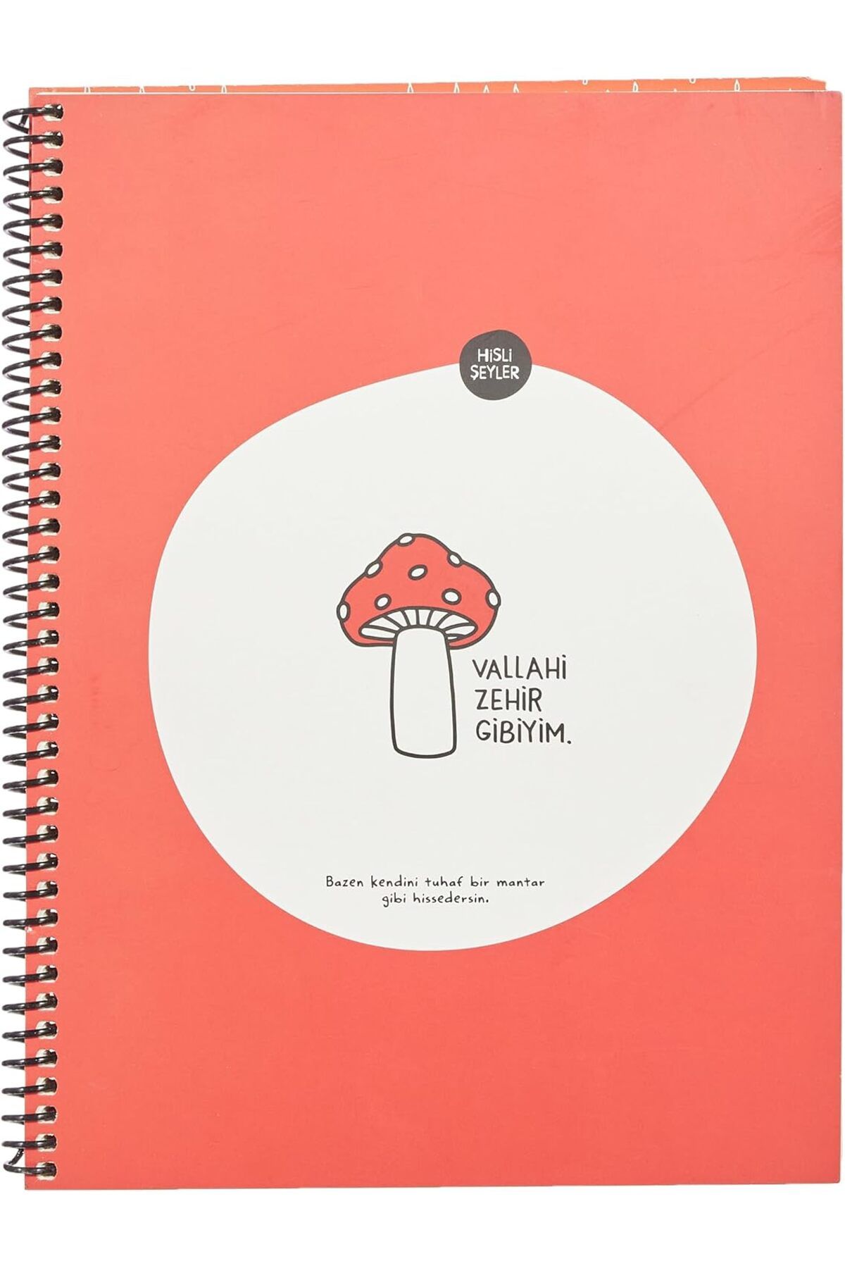STOREMAX srhtDS Şeyler 80 Yaprak Kareli Hafif Kağıt Stickerli Defter, Zehir Gibiyim, 18.5x25cm Desing 2664