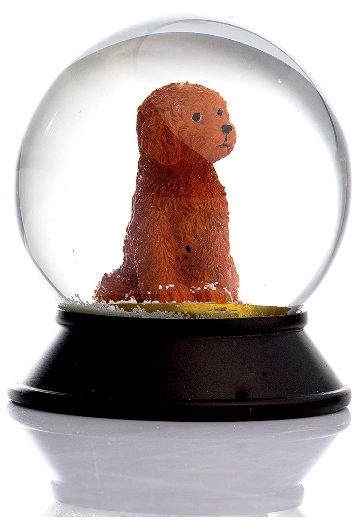 STOREMAX htpshopmx Cam Ve Reçine Altın Patiler Köpek Toy Poodle (tarçın) Kar Küresi Hediye str http 1092