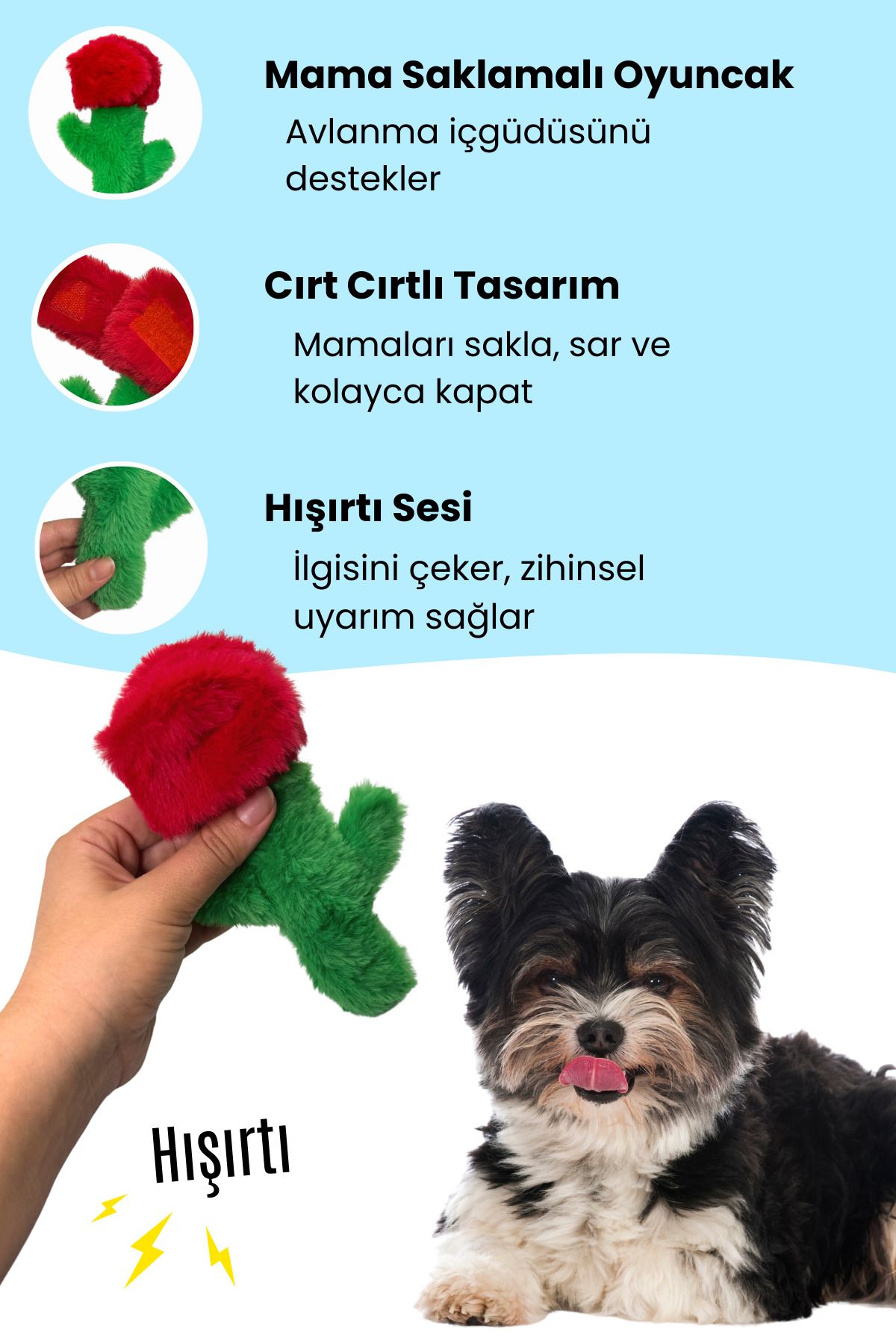 Havhav-Plush Rose Food Storage Dog Toy with Rustle Sound for Medium and Small Breed 2