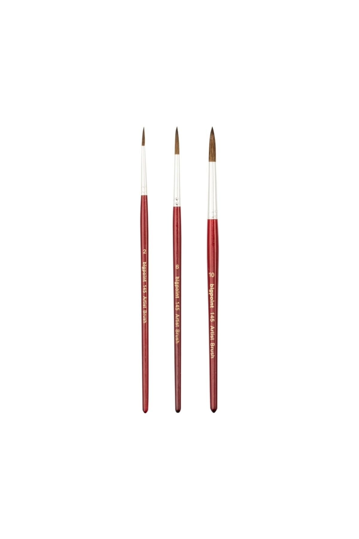 Bigpoint-|   145 Series Round Brush Set, 3-Piece, No: 2, 6, 10, 100% Natural Pony Hair 2