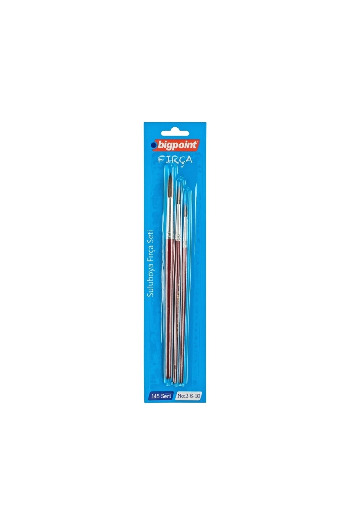Bigpoint-|   145 Series Round Brush Set, 3-Piece, No: 2, 6, 10, 100% Natural Pony Hair 1
