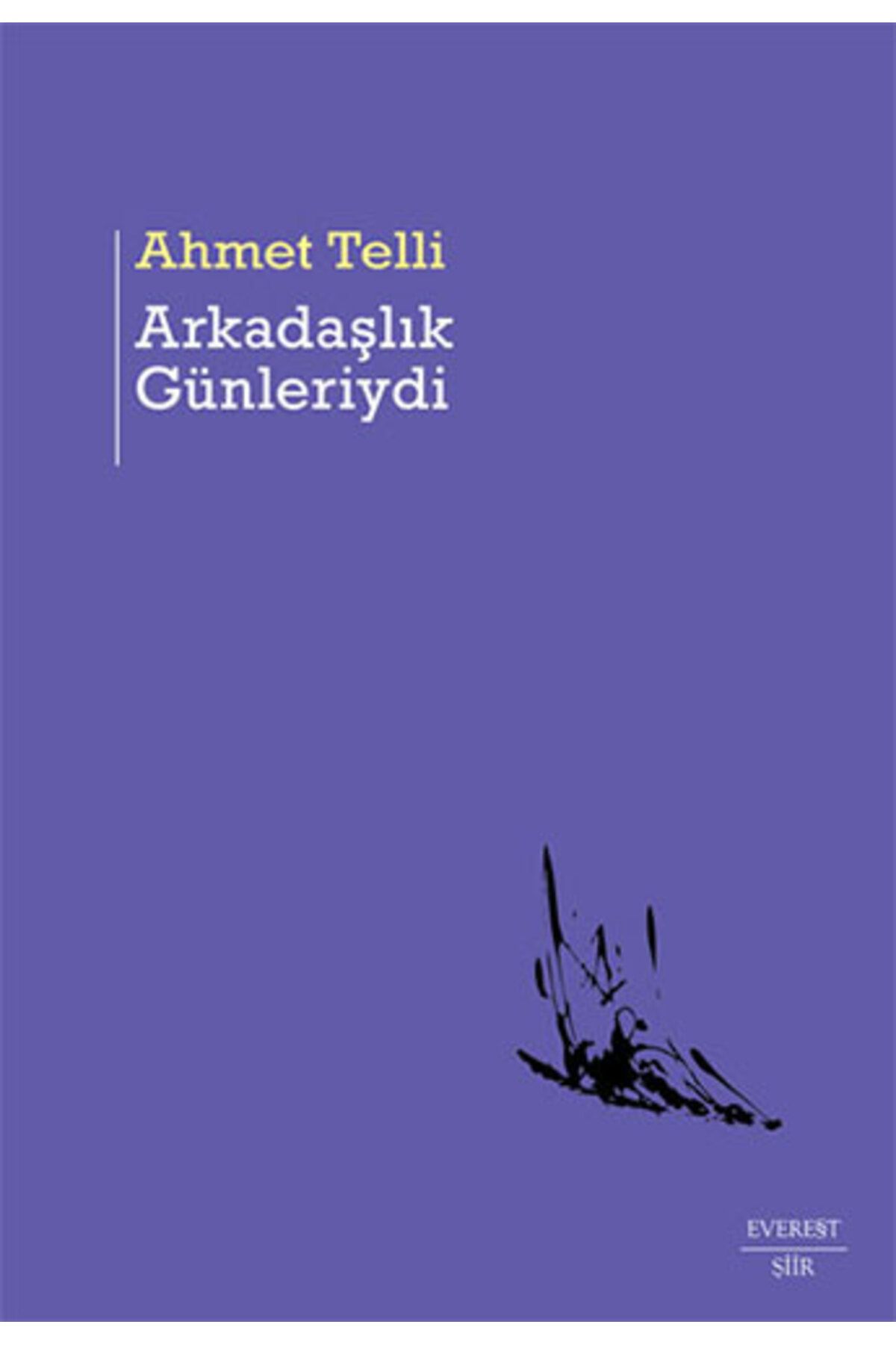 Everest Yayınları Arkadaşlık Günleriydi + GörSen + Saklı Kalan + Okuma Sticker'ları