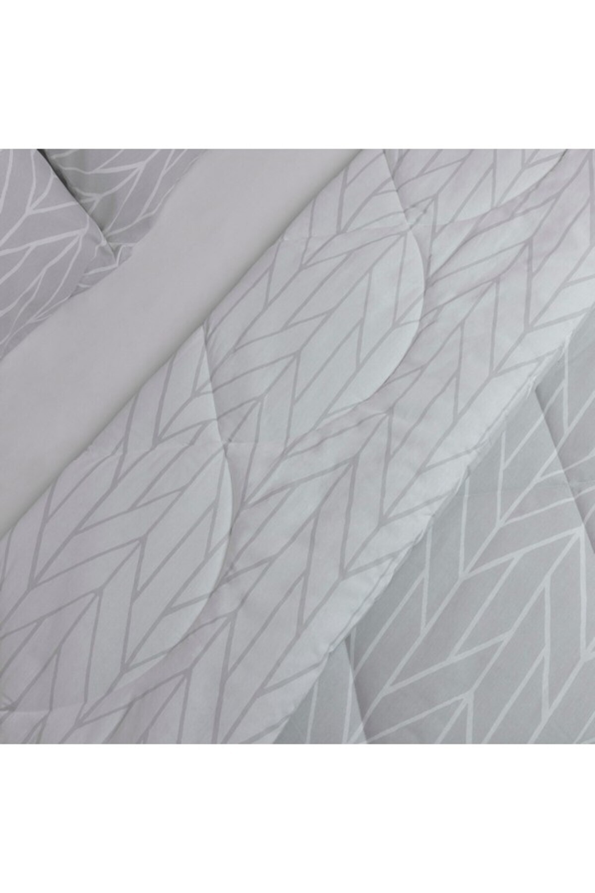 Home Box-Malta 3-Piece Centrum Printed Cotton Queen Comforter Set 200x240 cm 5
