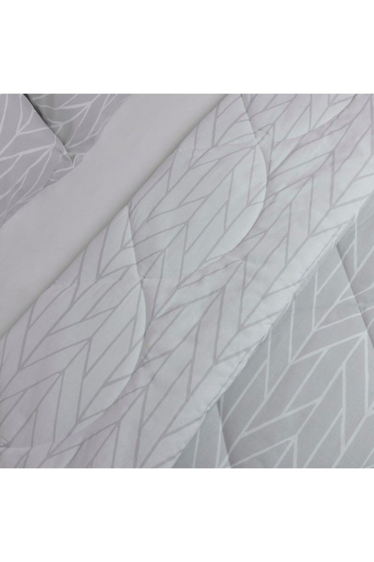 Home Box-Malta 3-Piece Centrum Printed Cotton Queen Comforter Set 200x240 cm 4