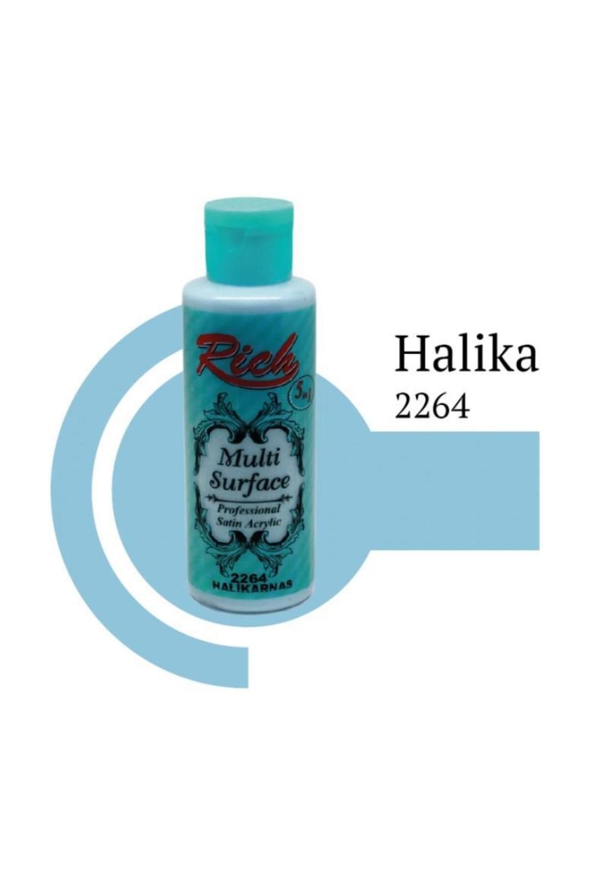 OEM Rich Multi Surface 2264 Halikarnas Akrilik Boya 120 cc