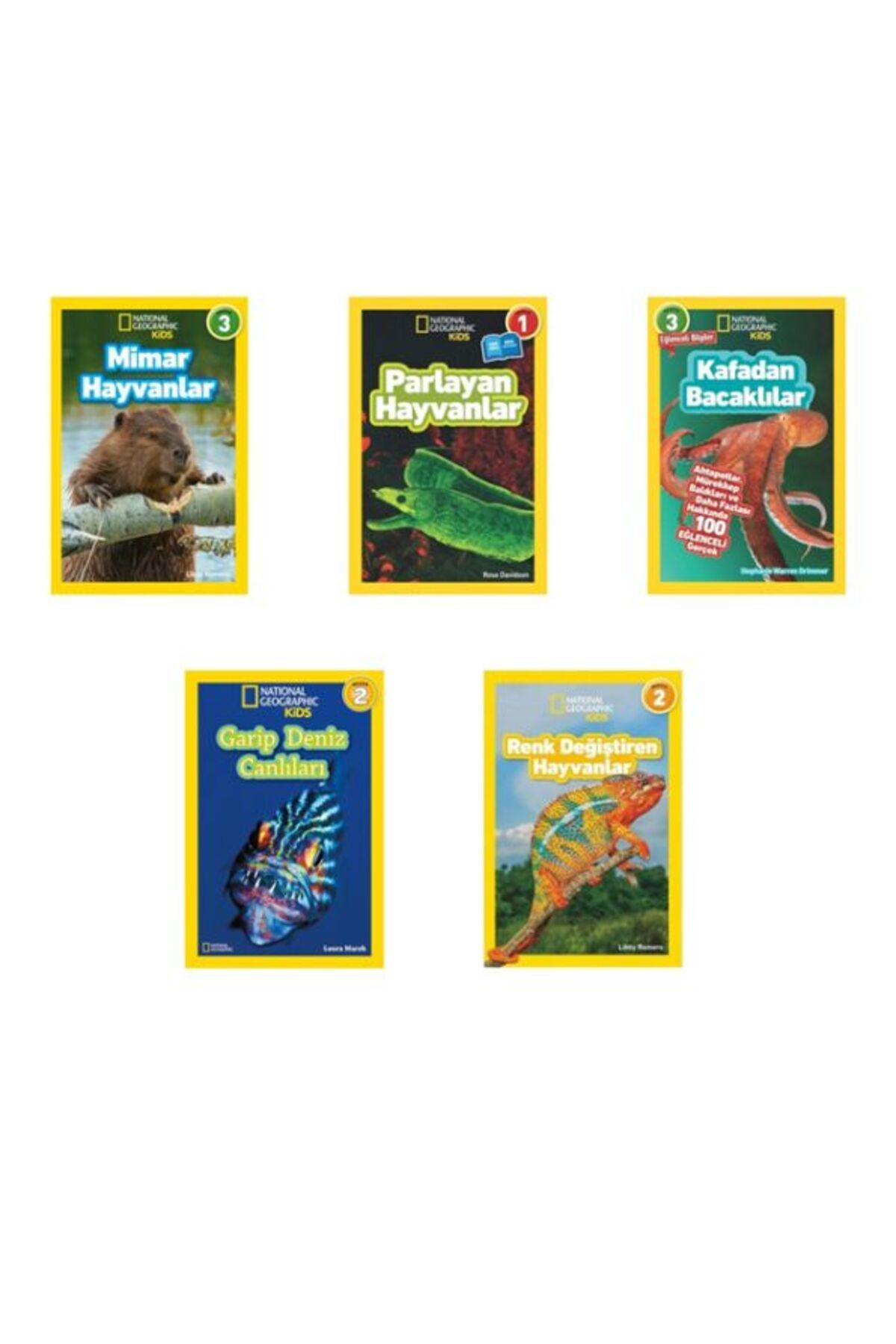 Destek Yayınları Kids Olağanüstü Hayvanlar Seti 5 Kitap