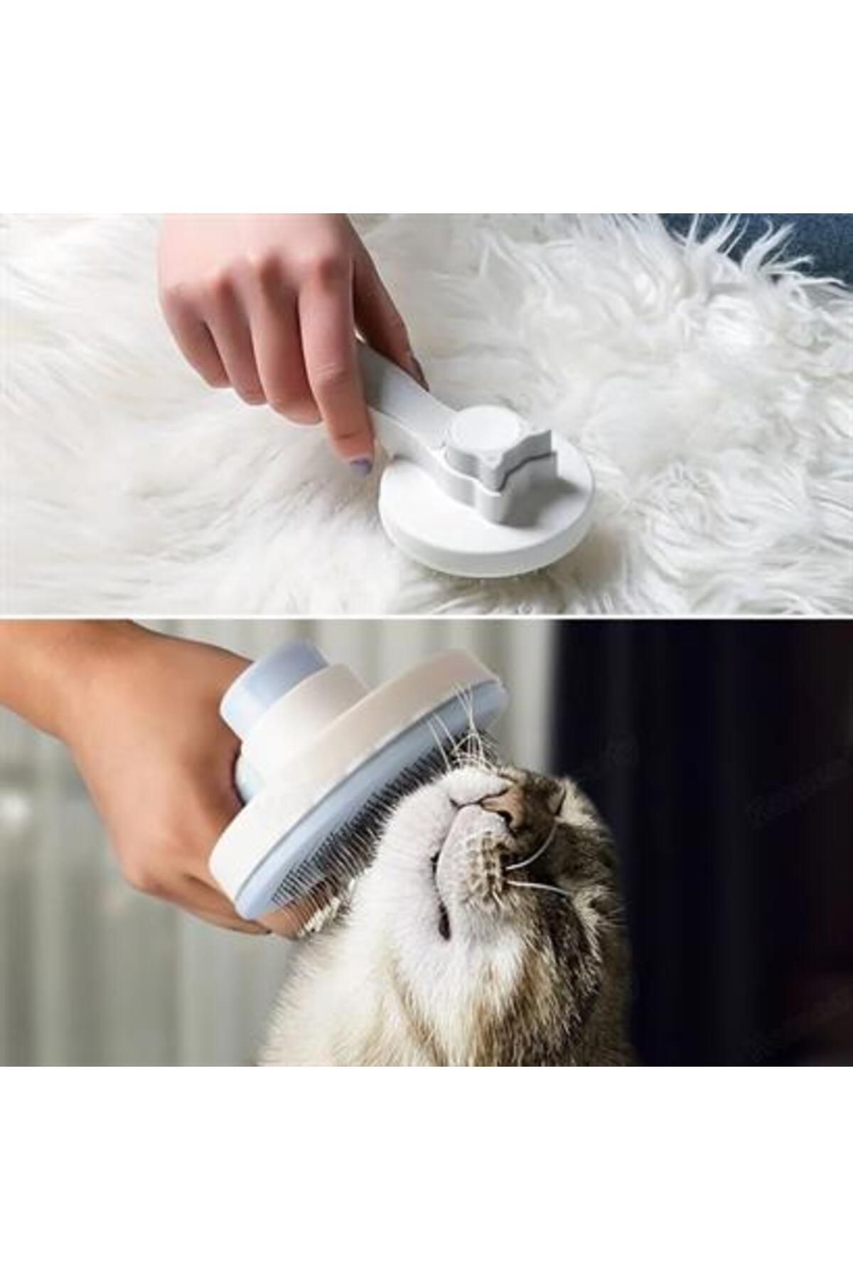 yenitoptan Paarla Basmalı Kedi Köpek Tüy Toparlayıcı Masaj Etkili Pet Fırçası