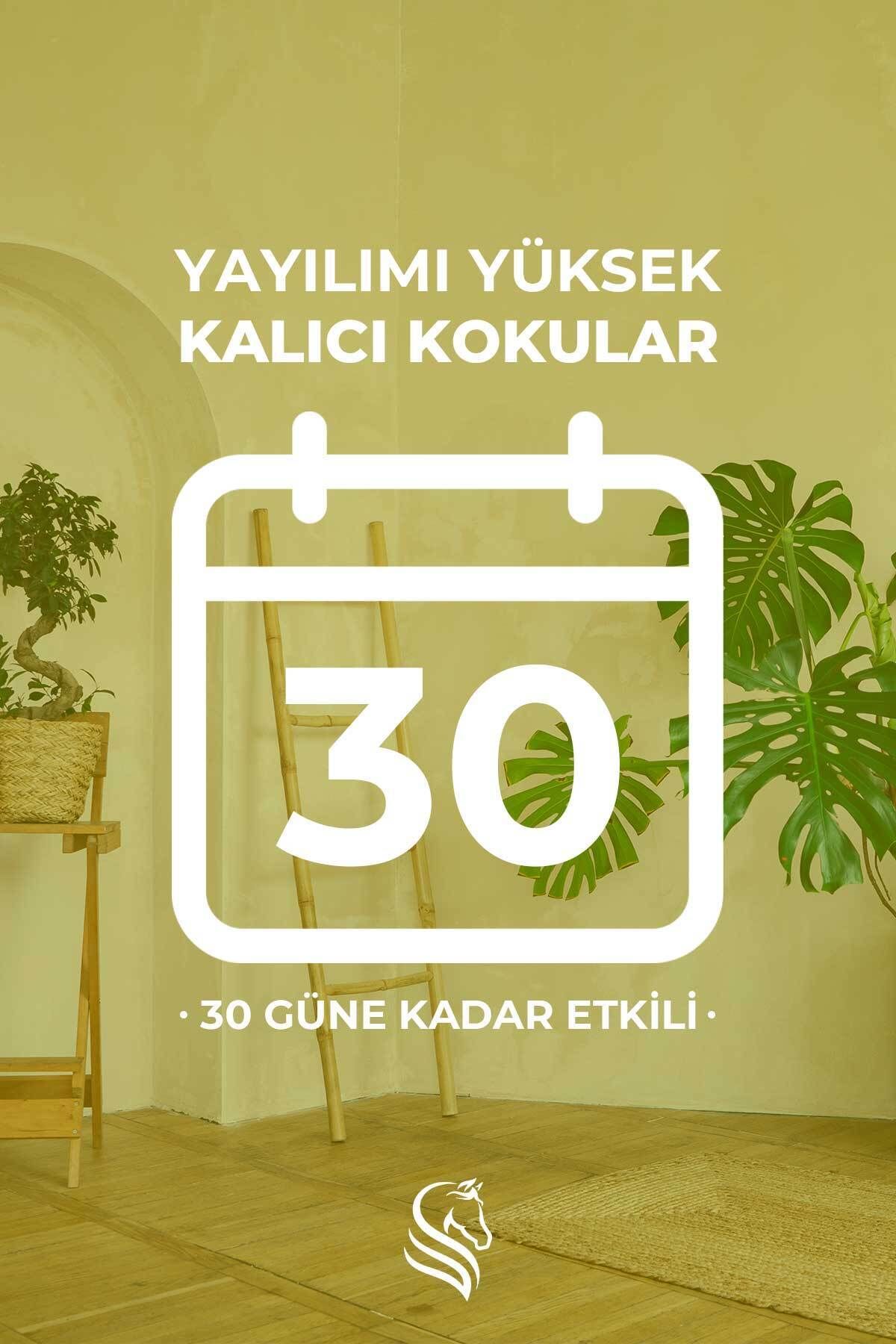 Şeftali Kokusu Çubuklu Oda Kokusu Peach Reed Diffuser 100ml - 5