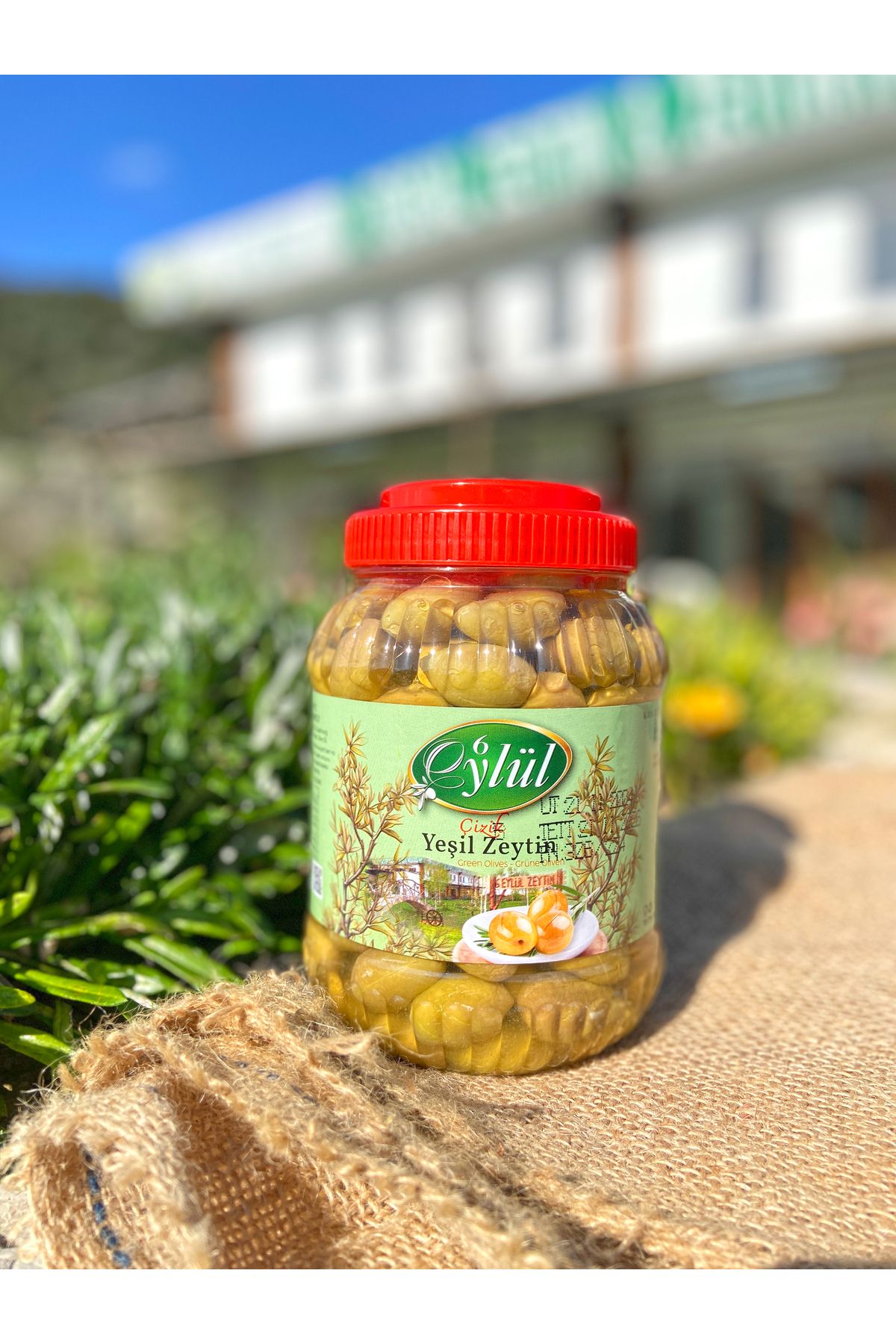 6 Eylül Zeytin Çizik Yeşil Zeytin 1000 gr