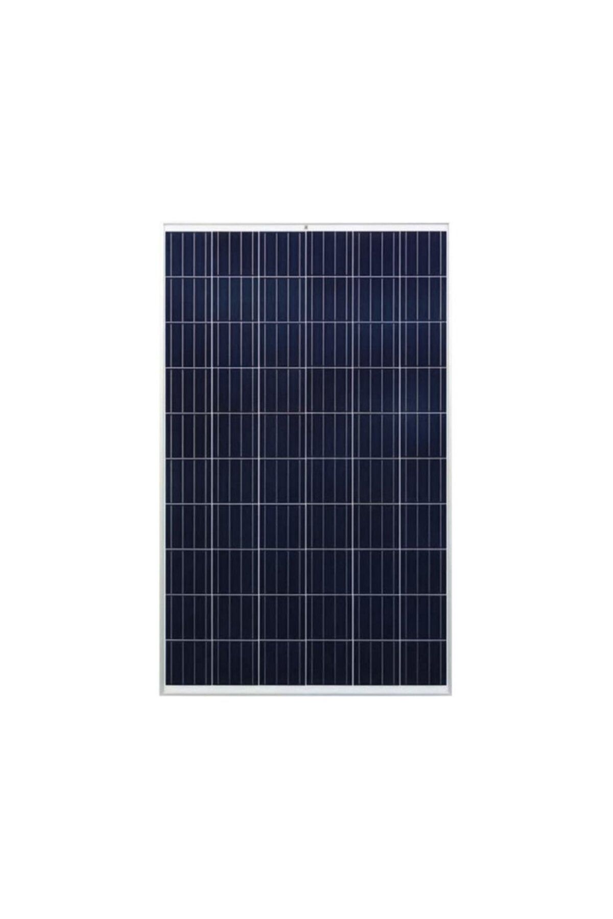 Lexron 295 Watt Polikristal Güneş Paneli
