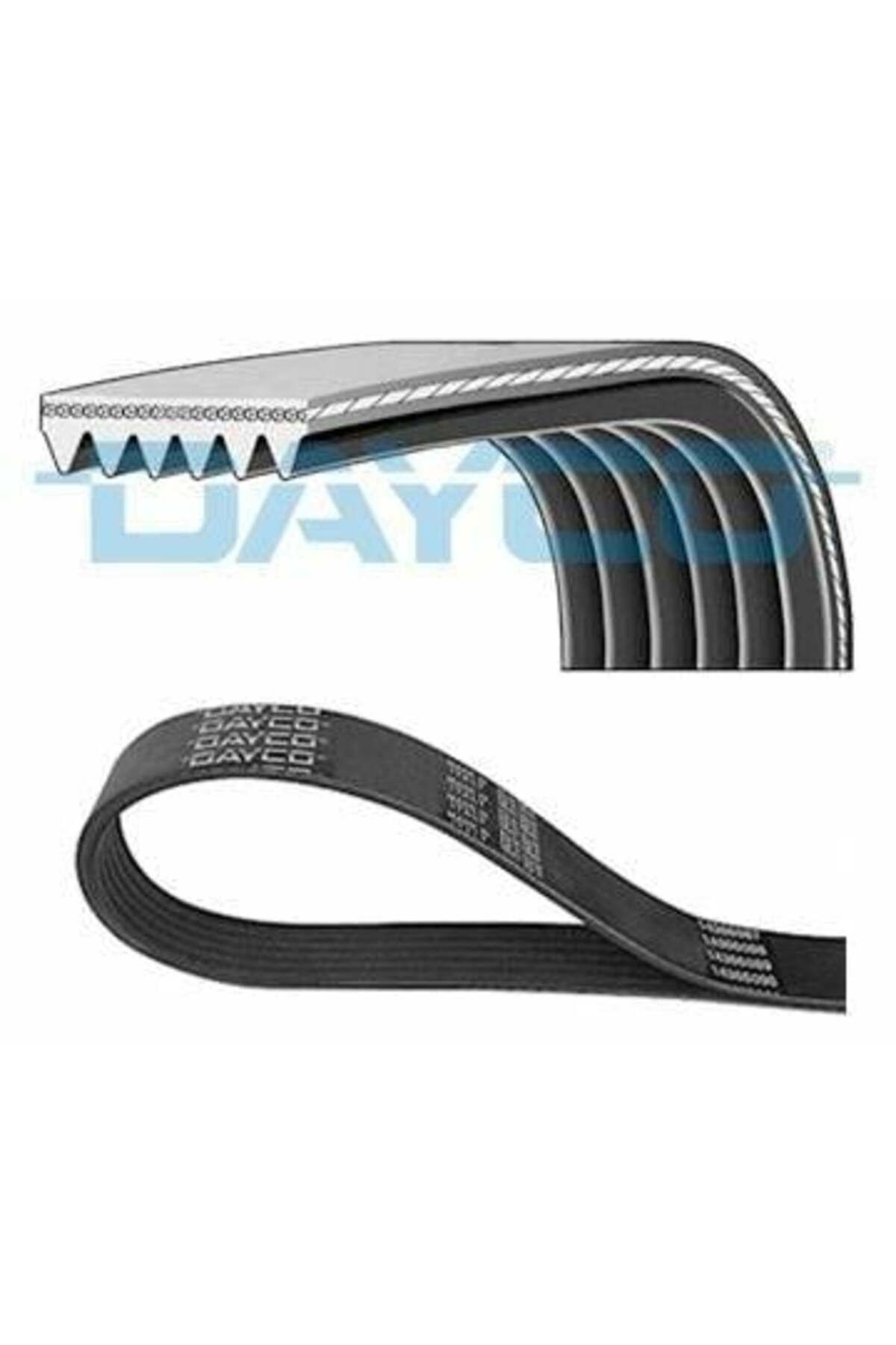 DAYCO 6PK1130 | Kanallı Kayış