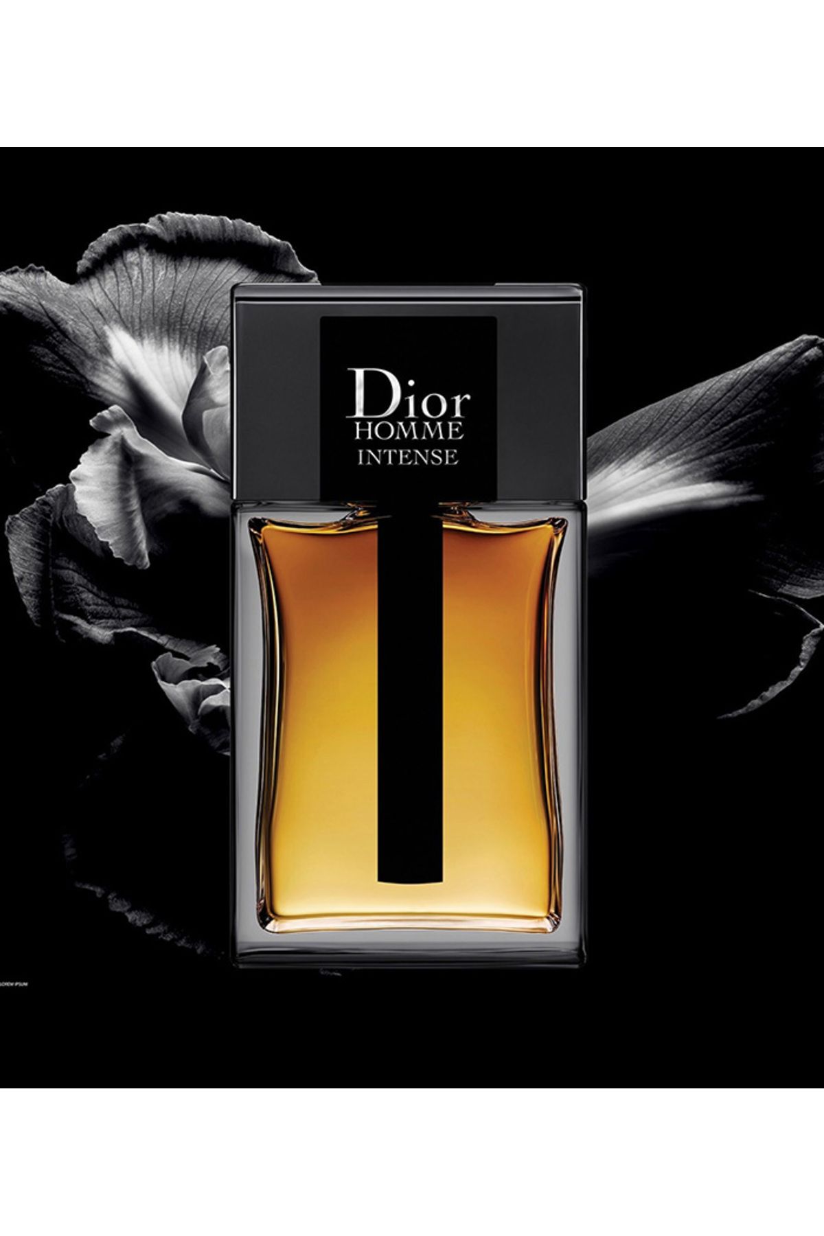 Dior-Dior Homme Intense EDP For Men 50ml 3