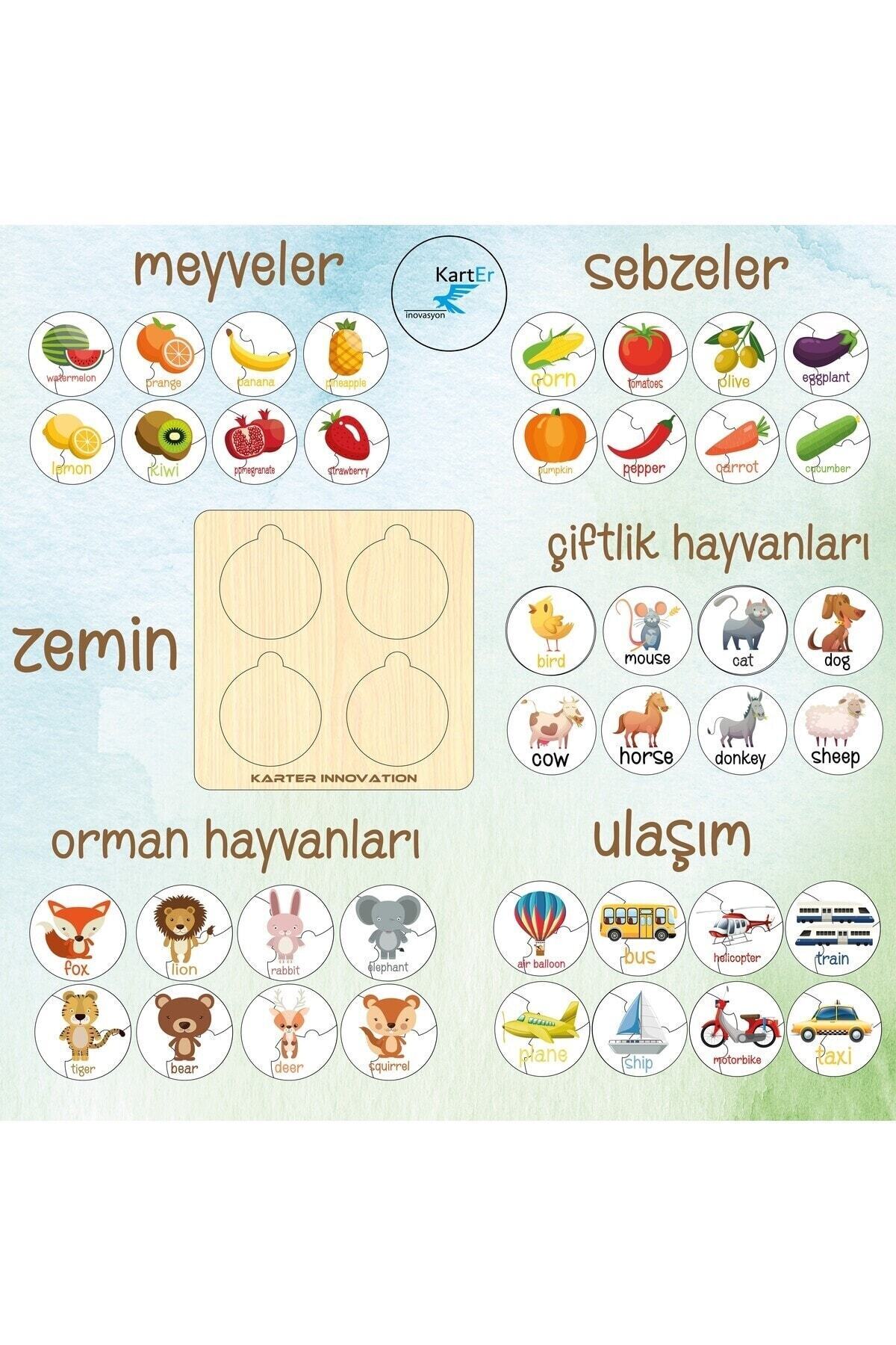 Karter İnovasyon Ahsap Ingilizce Kavram Ögrenme Seti, Ingilizce Meyveler, Ingilizce Hayvanlar, Ulasim Aracları fotoğrafı 7 (önizleme)