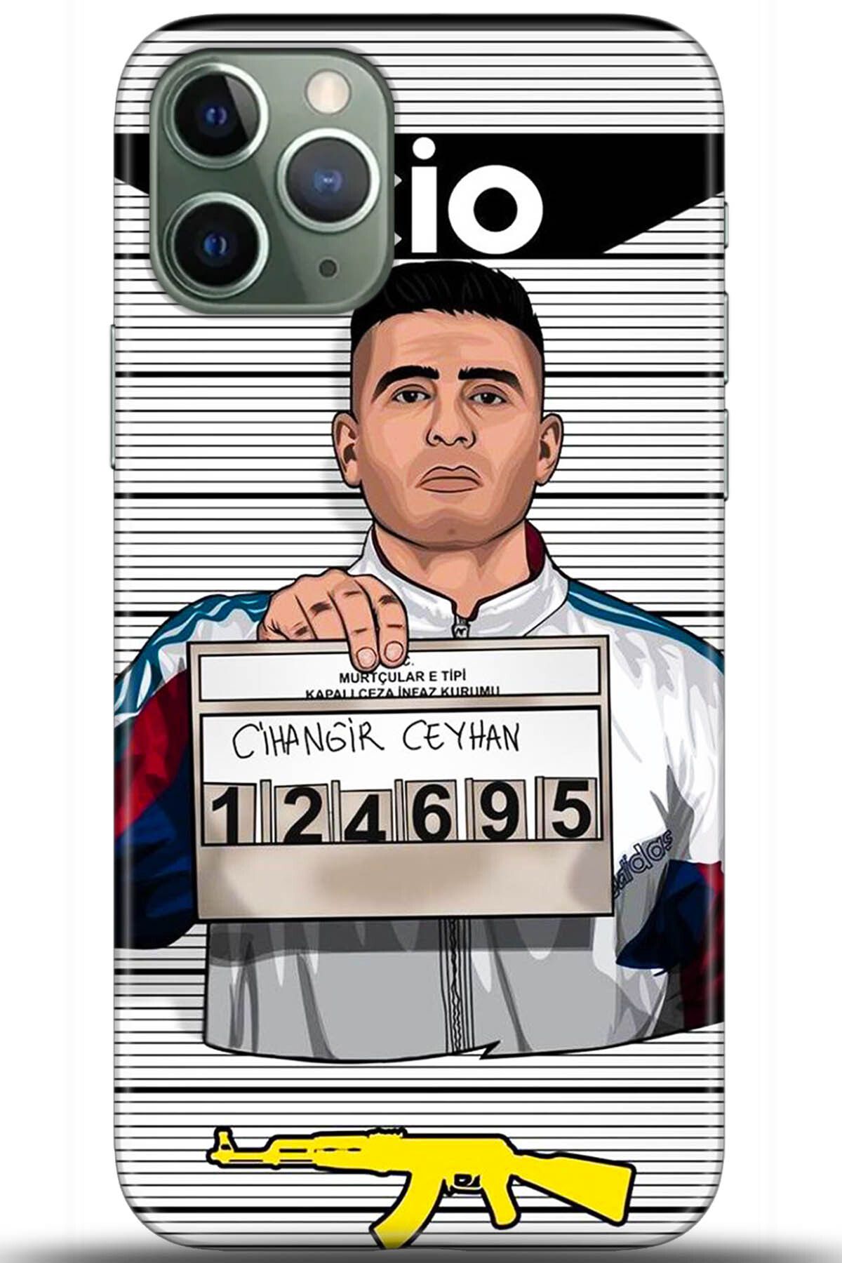 adveksiyon Apple iPhone 11 Pro Kılıf HD Baskılı Kılıf - Central Anatolia Series 5411