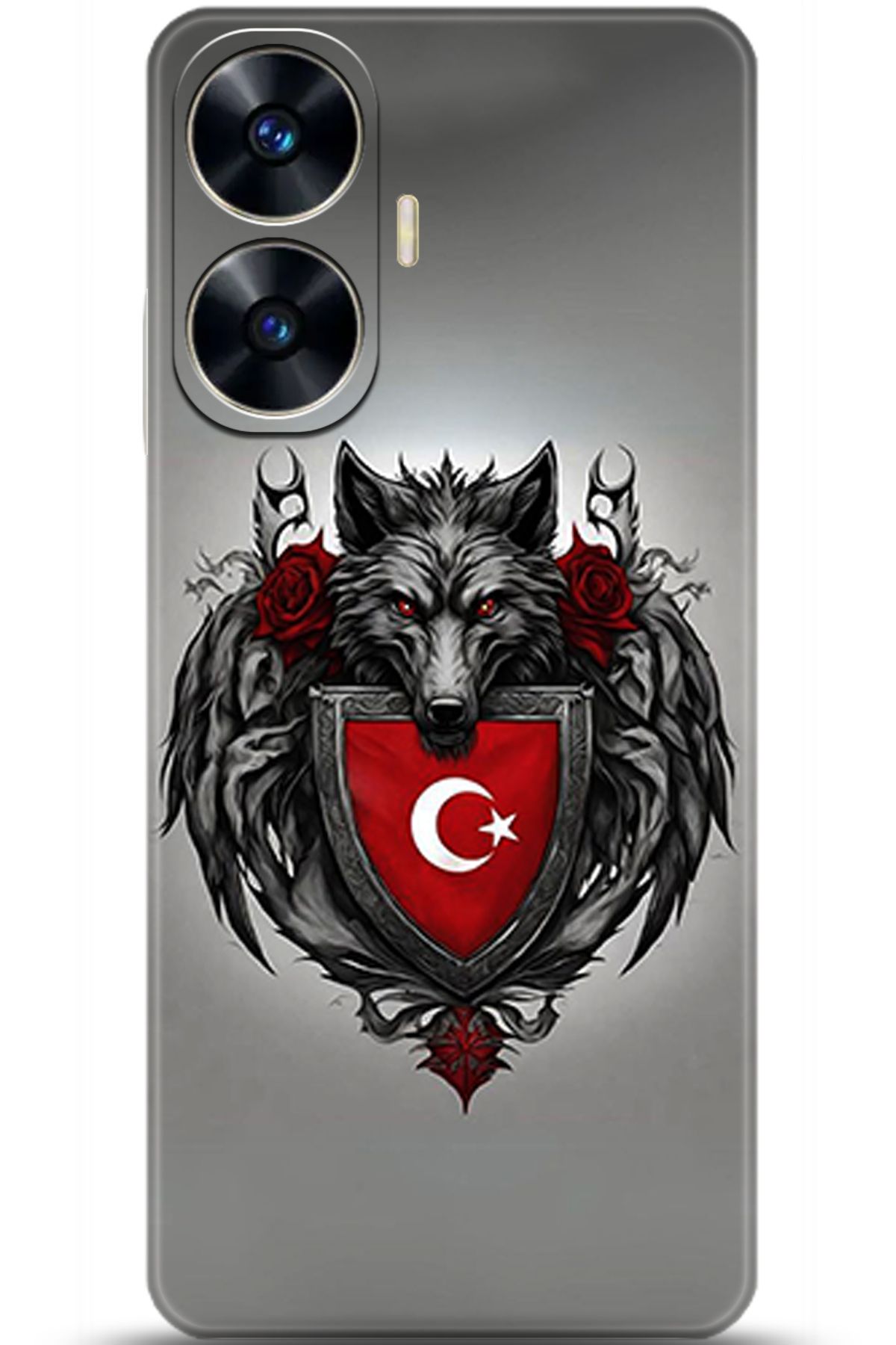 realme C55 Kılıf HD Baskılı Kılıf - Central Anatolia Series 5374