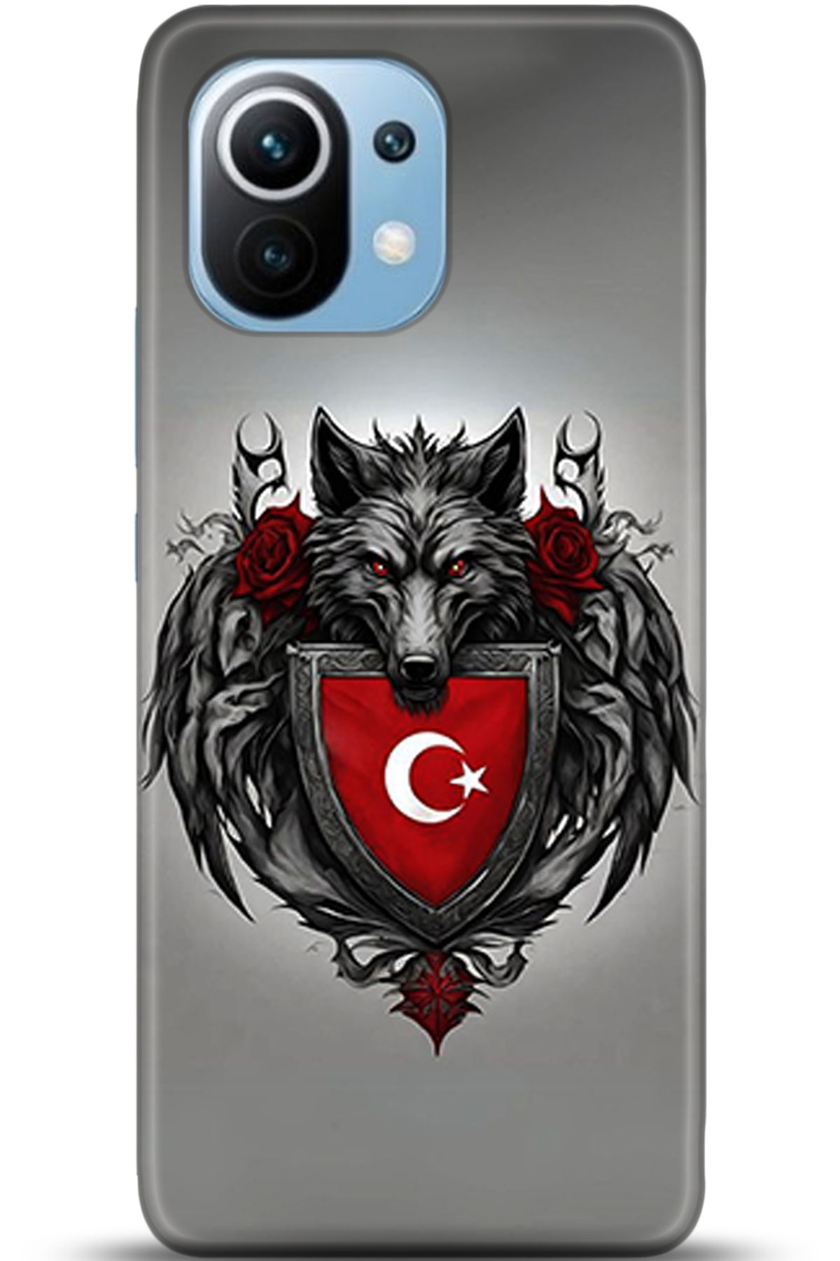 adveksiyon Xiaomi Mi 11 Kılıf HD Baskılı Kılıf - Central Anatolia Series 5374