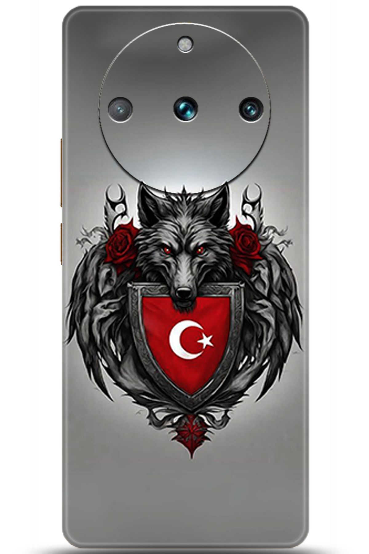 realme 11 Pro Plus Kılıf HD Baskılı Kılıf - Central Anatolia Series 5374