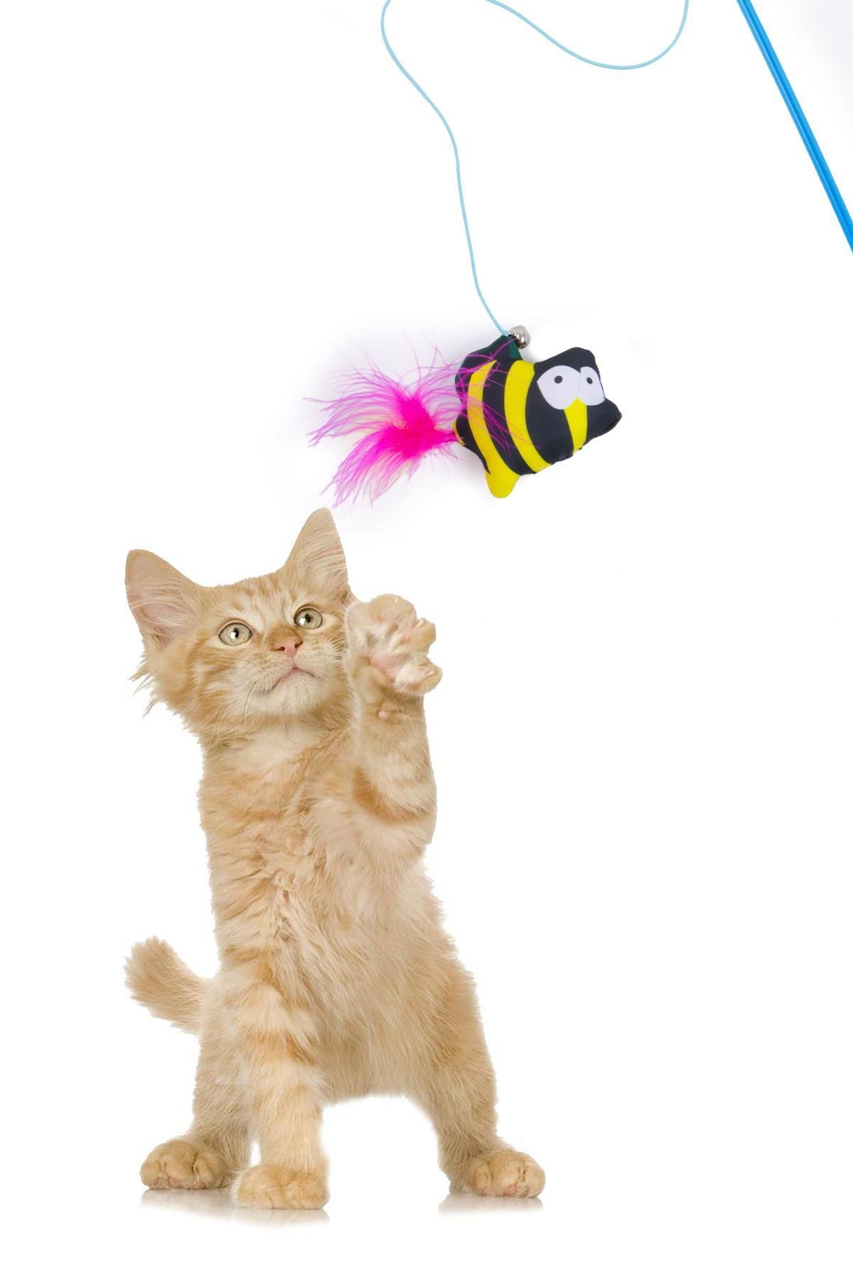 GOBYPET-صنارة صيد القطط ذات الفراء، صنارة صيد القطط ذات النحل 2